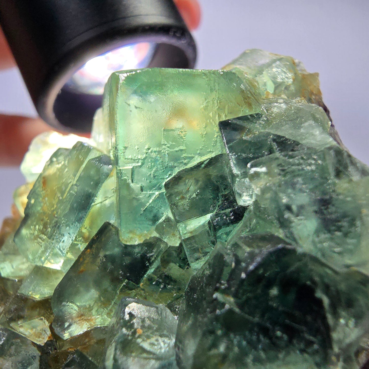 Spécimen de cube de fluorite fantôme parqueté vert violet Okorusu, Namibie 60*48*24mm