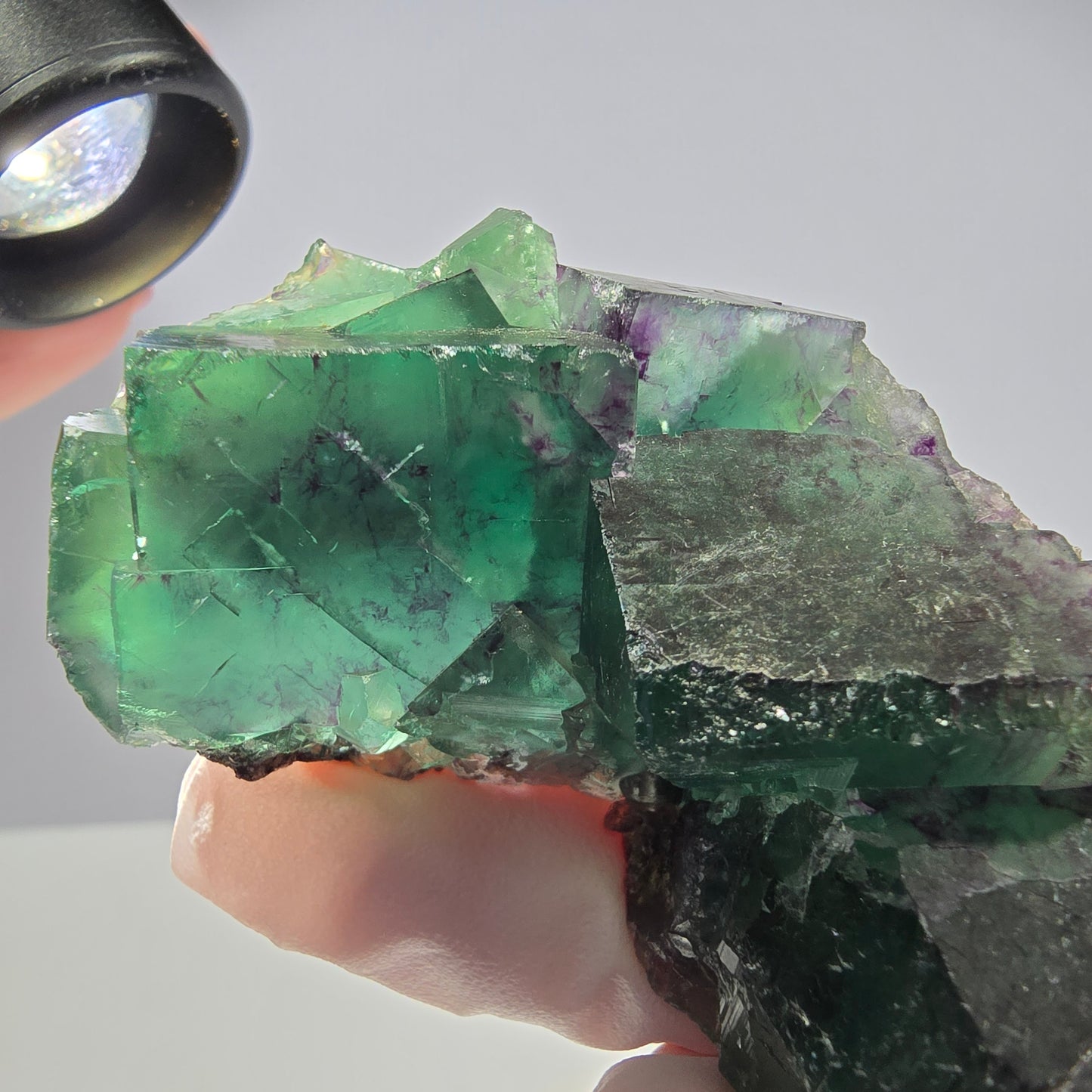 Spécimen de cube de fluorite fantôme parqueté vert violet Okorusu, Namibie 66*42*22mm