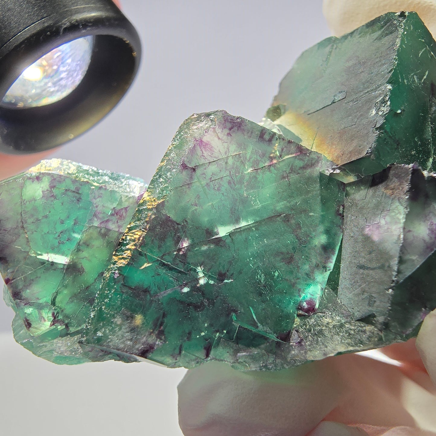 Spécimen de cube de fluorite fantôme parqueté vert violet Okorusu, Namibie 66*42*22mm