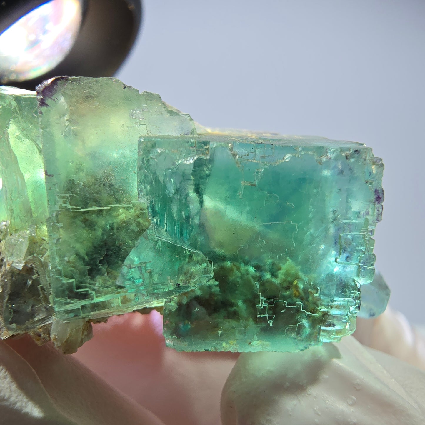 Rare spécimen de cube de fluorite fantôme, parqueté vert Okorusu, Namibie, 42 x 30 x 18 mm