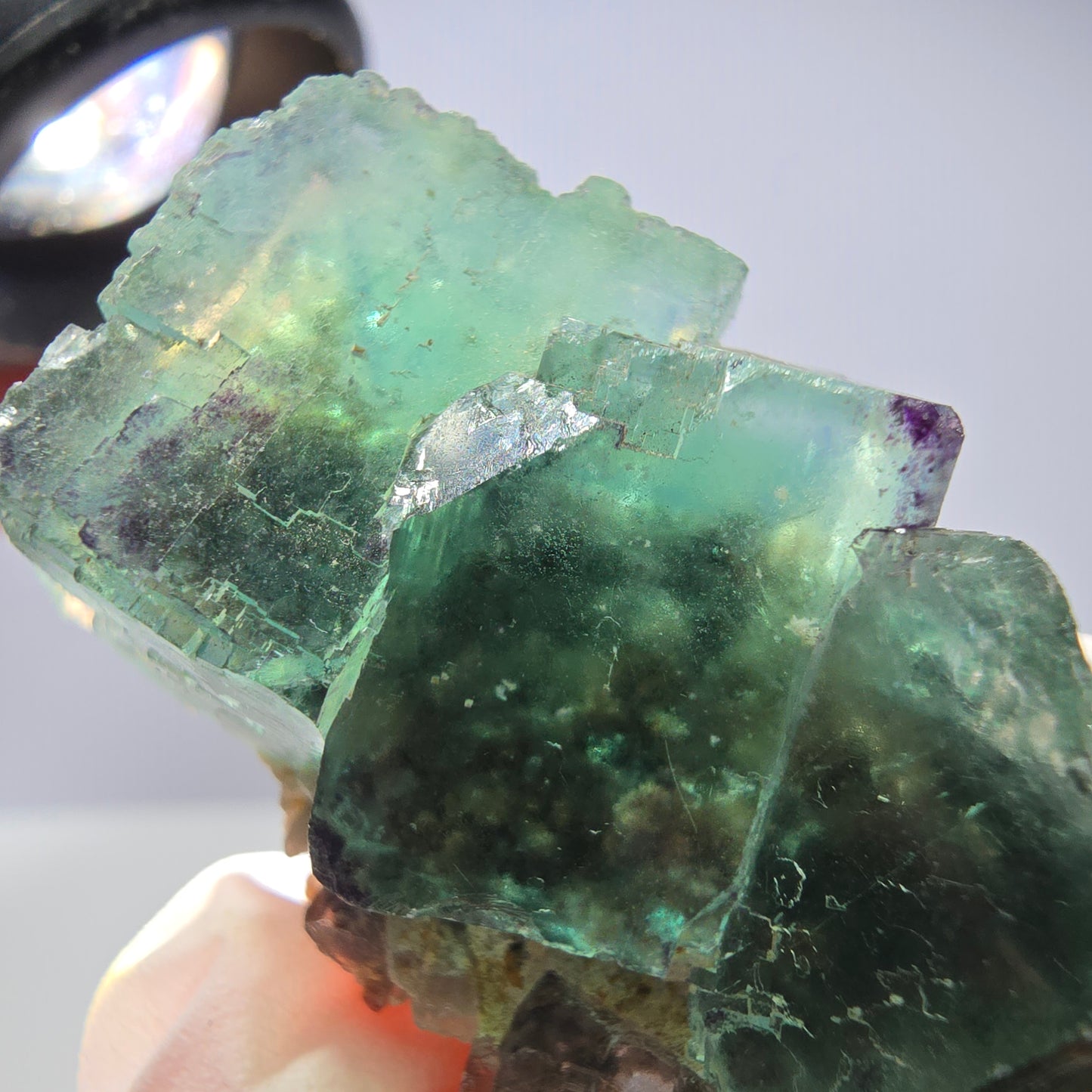 Rare spécimen de cube de fluorite fantôme, parqueté vert Okorusu, Namibie, 42 x 30 x 18 mm
