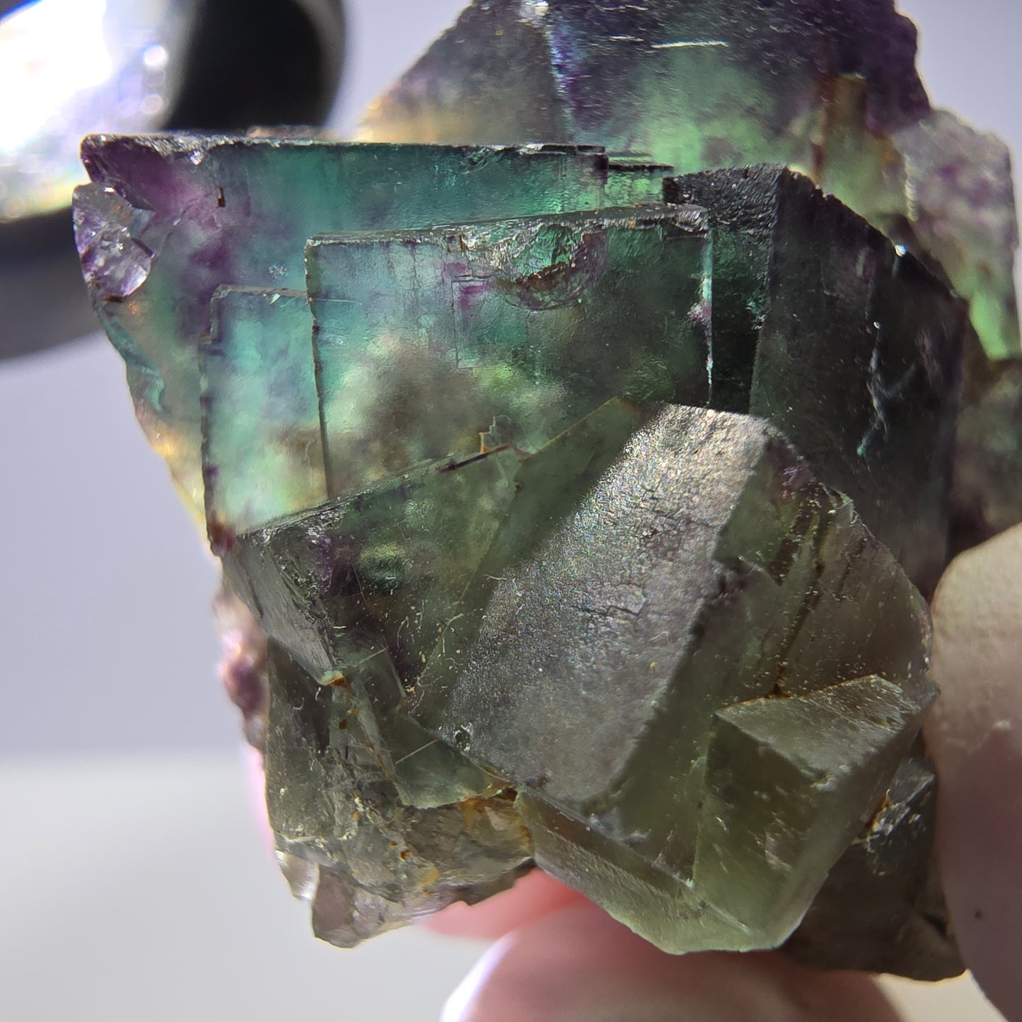 Spécimen de cube de fluorite fantôme parqueté vert violet Okorusu, Namibie 40*36*26 mm