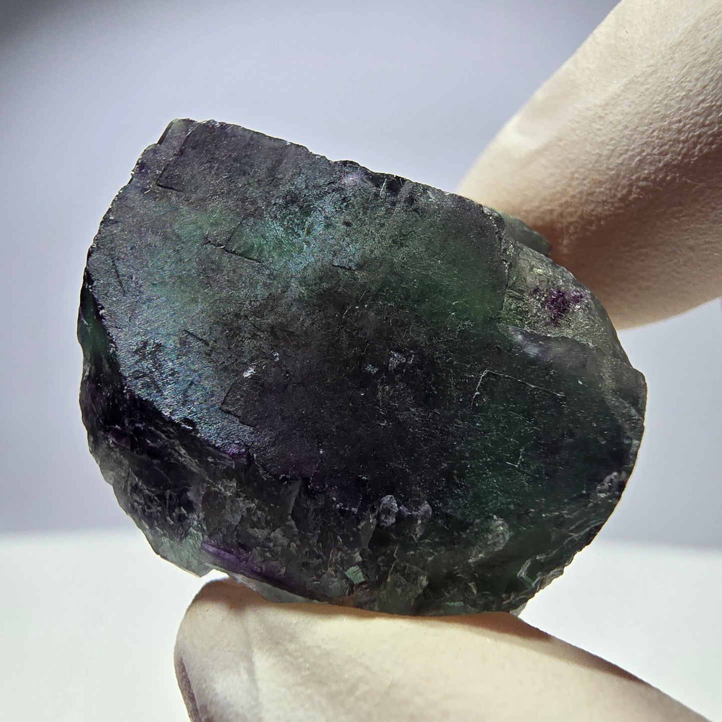 Spécimen de cube de fluorite fantôme parqueté vert violet Okorusu, Namibie 28*26*17 mm