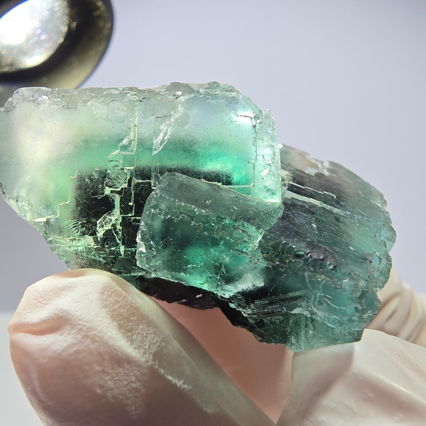 Spécimen de cube de fluorite fantôme parqueté vert violet Okorusu, Namibie 40*29*21mm