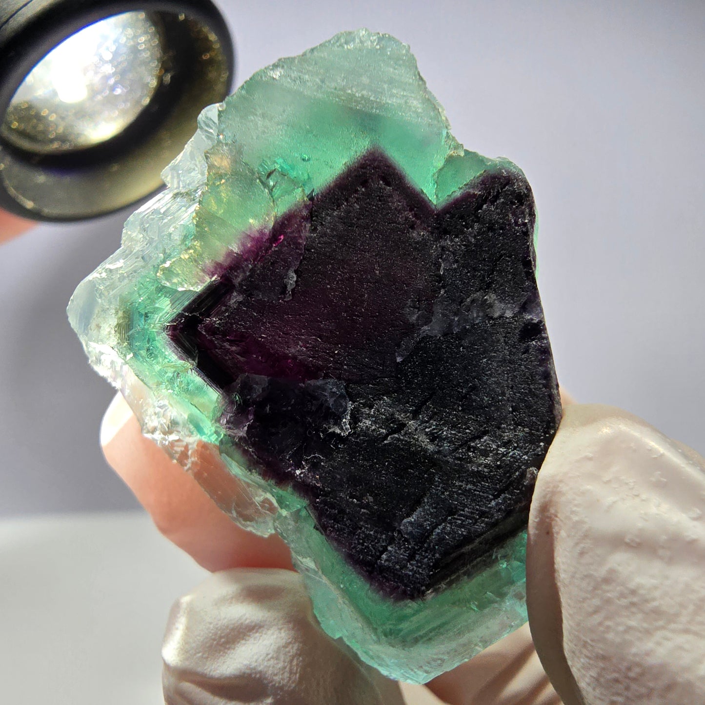 Spécimen de cube de fluorite fantôme parqueté vert violet Okorusu, Namibie 40*29*21mm