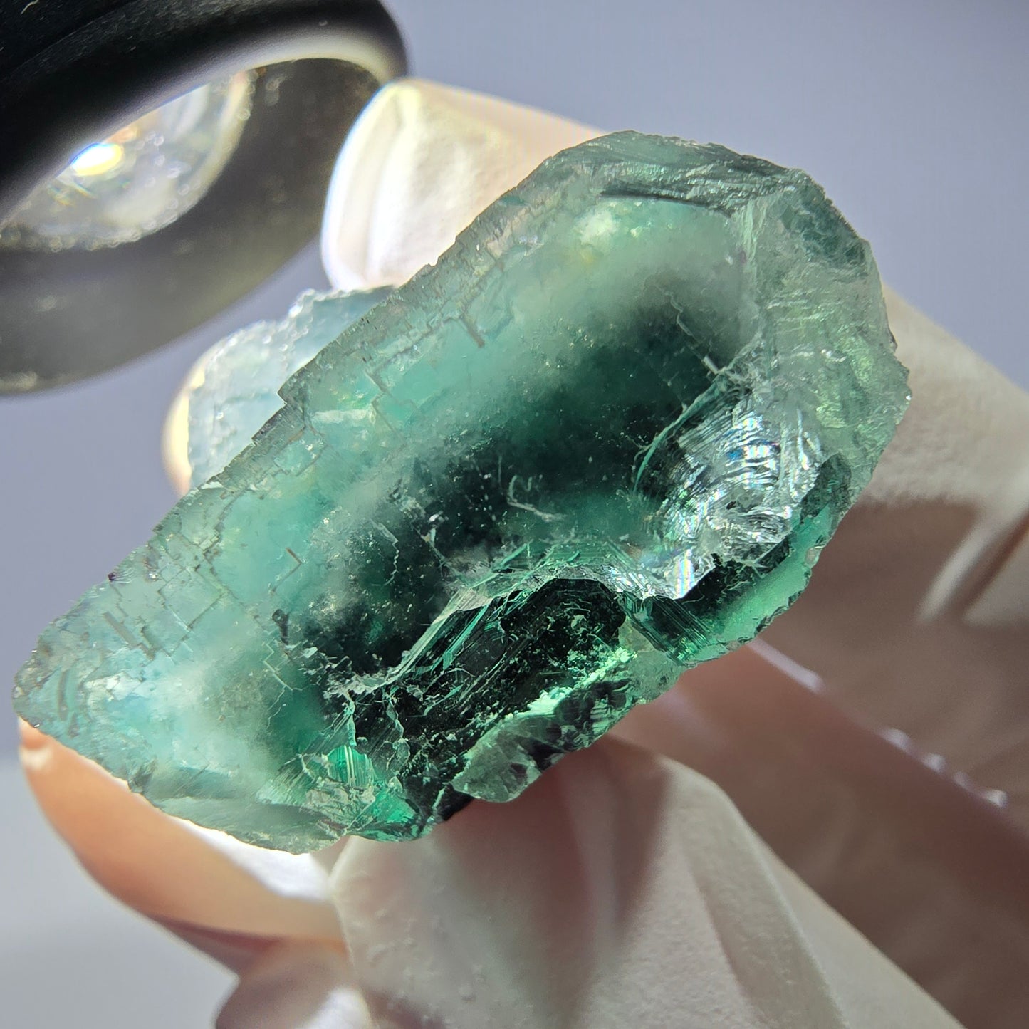 Spécimen de cube de fluorite fantôme parqueté vert violet Okorusu, Namibie 40*29*21mm