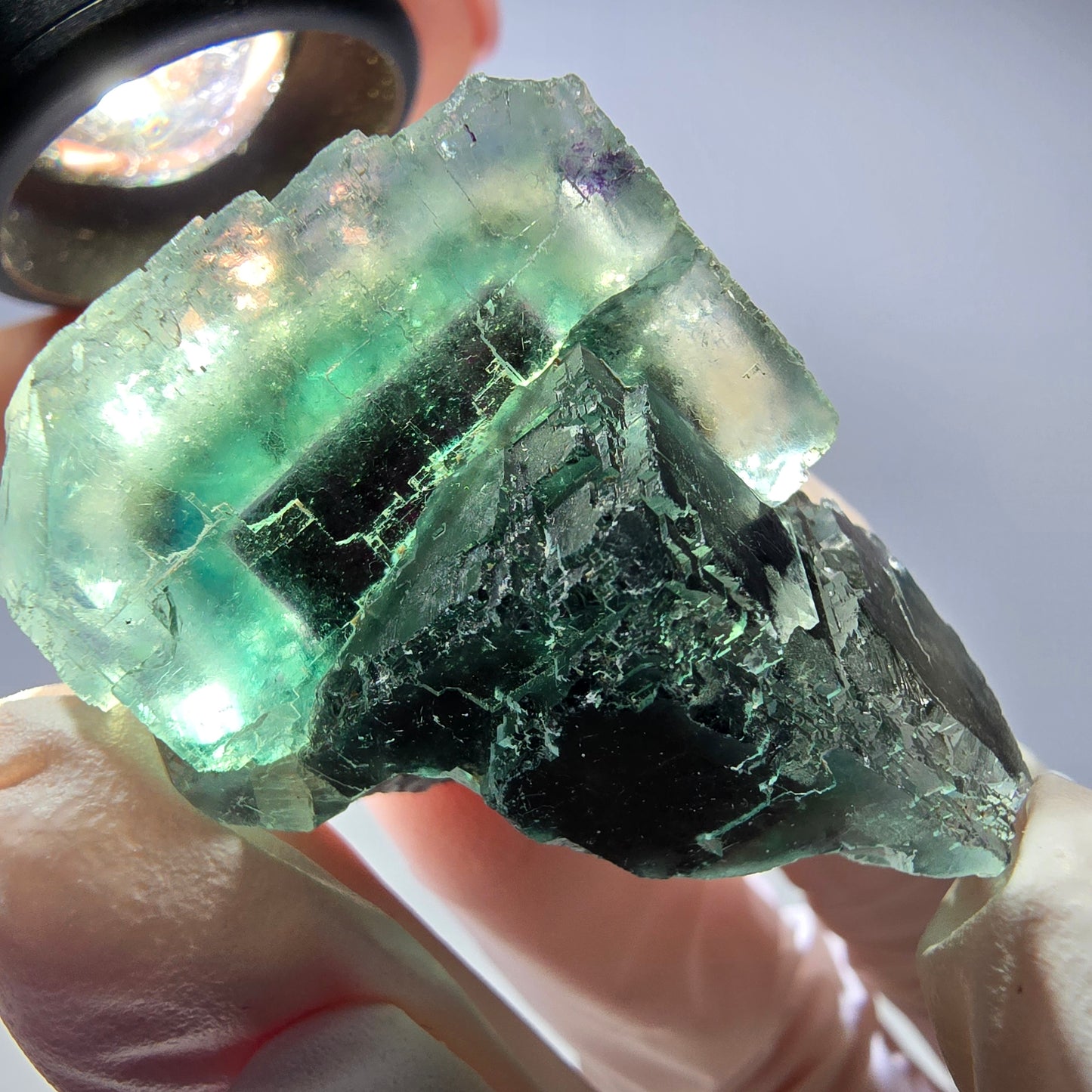 Spécimen de cube de fluorite fantôme parqueté vert violet Okorusu, Namibie 40*29*21mm