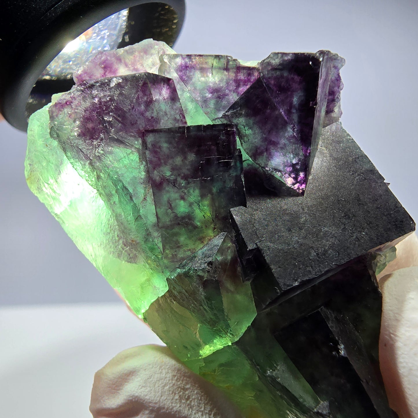 Spécimen de cube de fluorite fantôme parqueté vert violet Okorusu, Namibie 48*26*26mm
