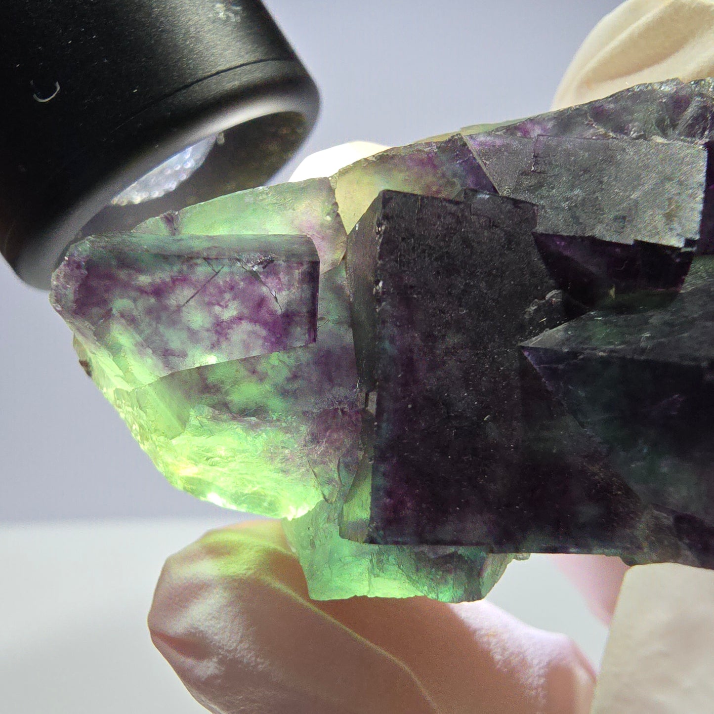 Spécimen de cube de fluorite fantôme parqueté vert violet Okorusu, Namibie 48*26*26mm