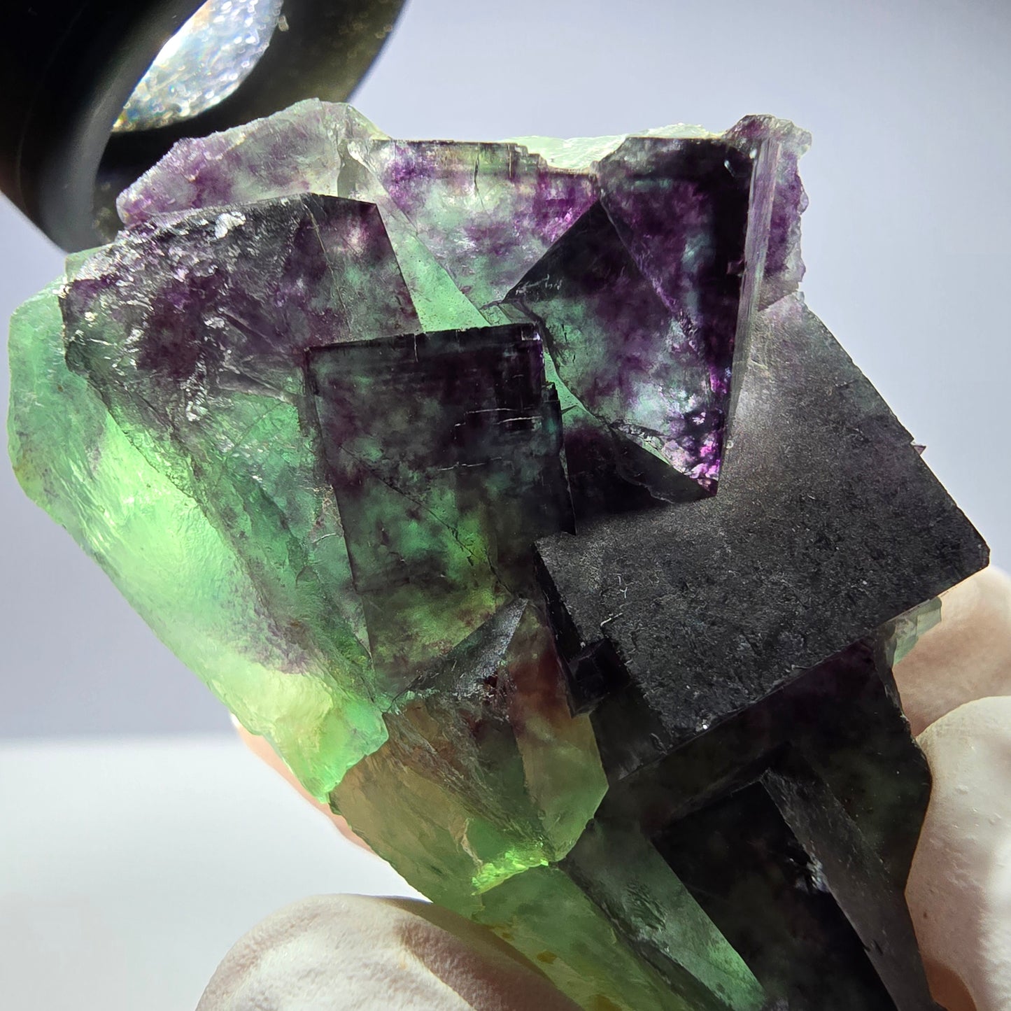 Spécimen de cube de fluorite fantôme parqueté vert violet Okorusu, Namibie 48*26*26mm