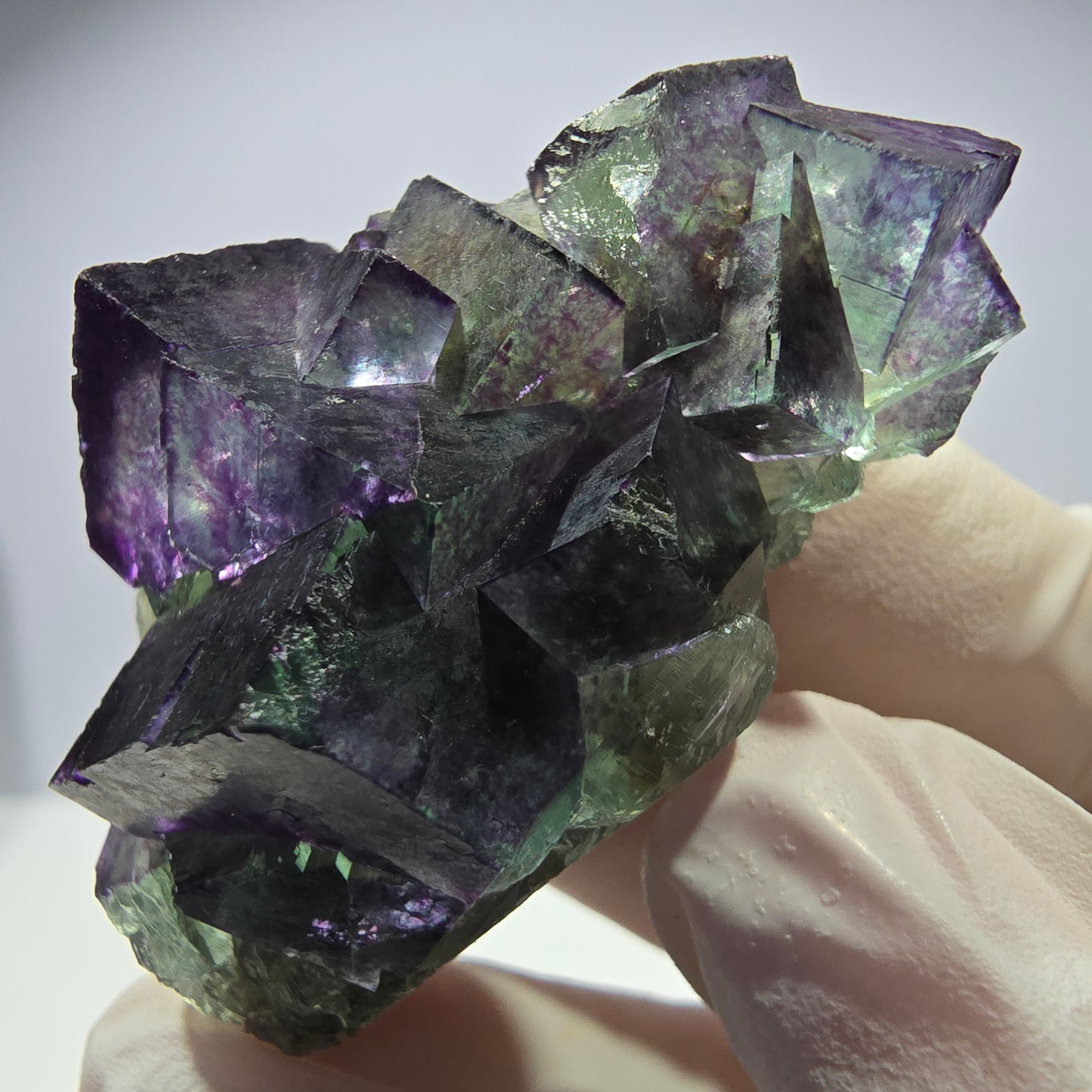 Spécimen de cube de fluorite fantôme, parqueté, zonal Okorusu, Namibie 51 x 30 x 24 mm