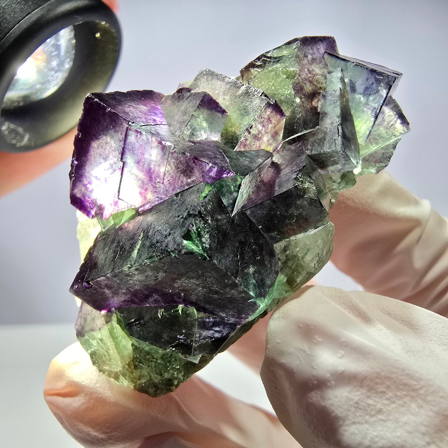 Spécimen de cube de fluorite fantôme, parqueté, zonal Okorusu, Namibie 51 x 30 x 24 mm