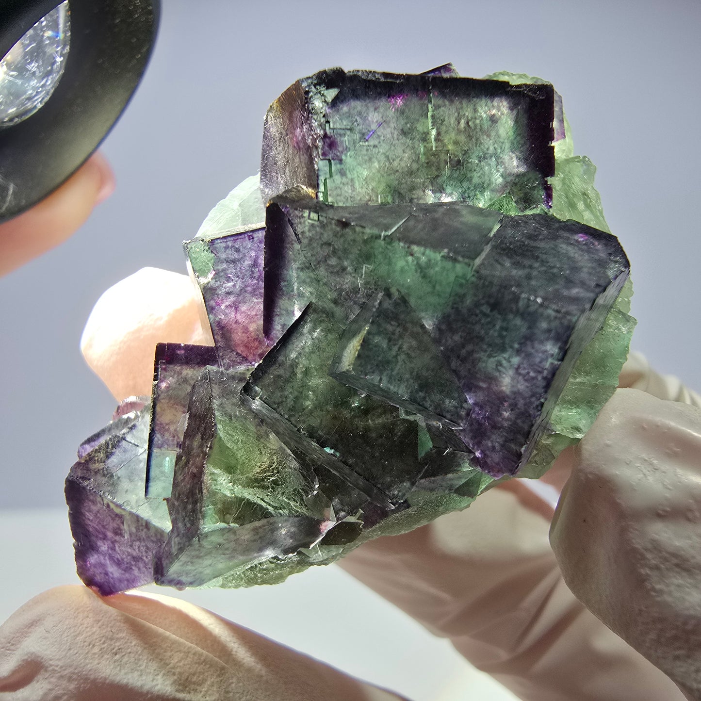 Spécimen de cube de fluorite fantôme, parqueté, zonal Okorusu, Namibie 51 x 30 x 24 mm