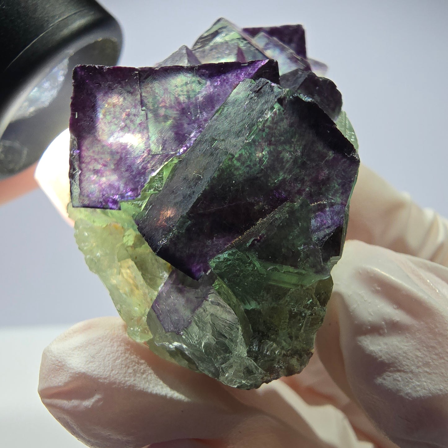Spécimen de cube de fluorite fantôme, parqueté, zonal Okorusu, Namibie 51 x 30 x 24 mm