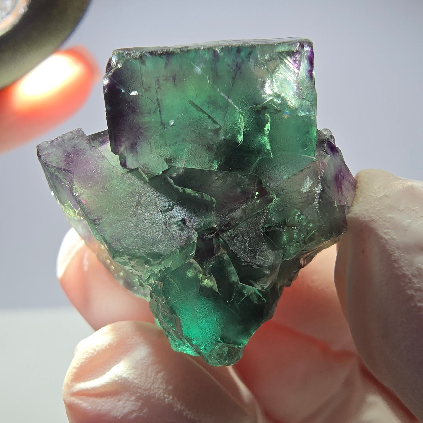 Spécimen de cube de fluorite fantôme parqueté vert violet Okorusu, Namibie 28*24*18mm
