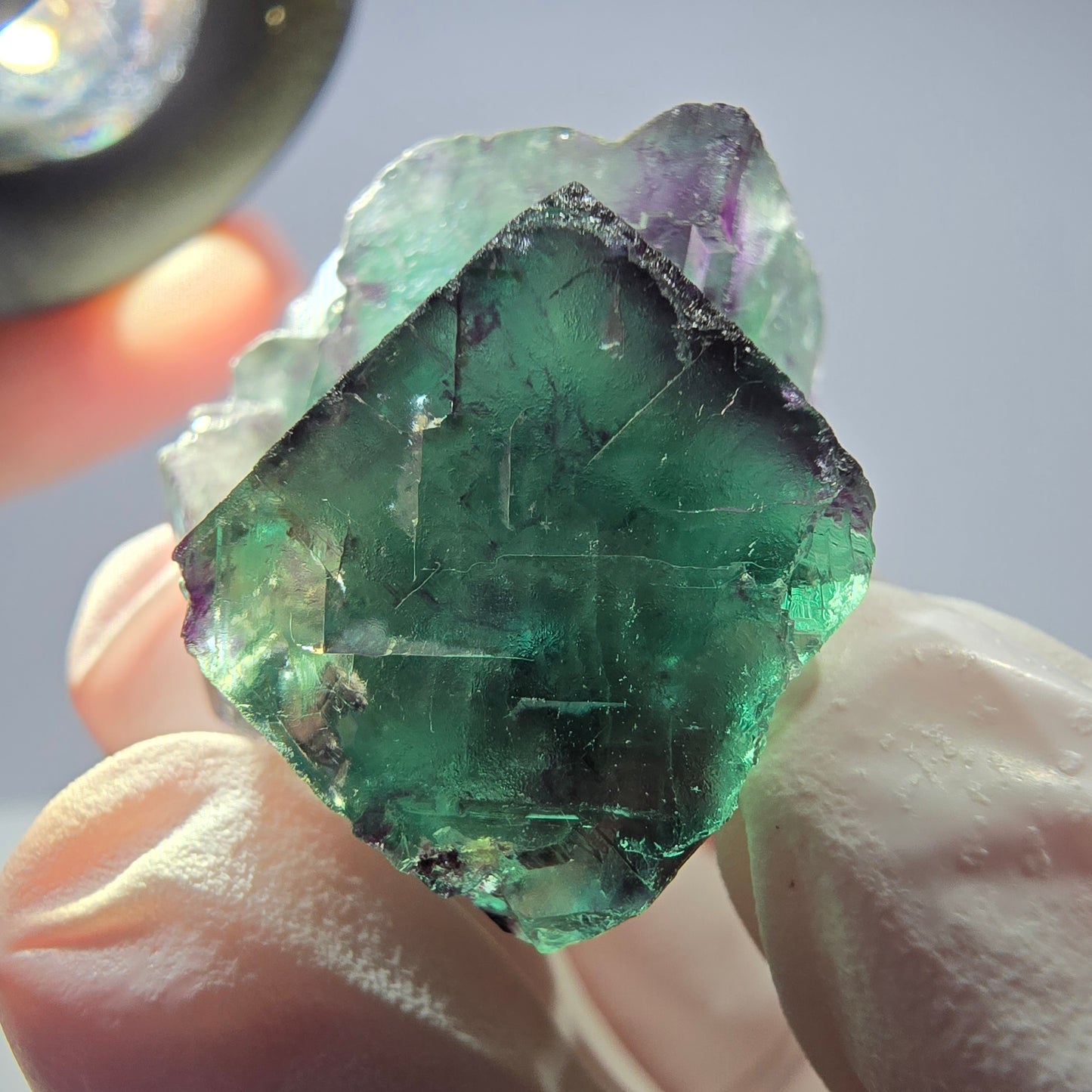 Spécimen de cube de fluorite fantôme parqueté vert violet Okorusu, Namibie 28*24*18mm