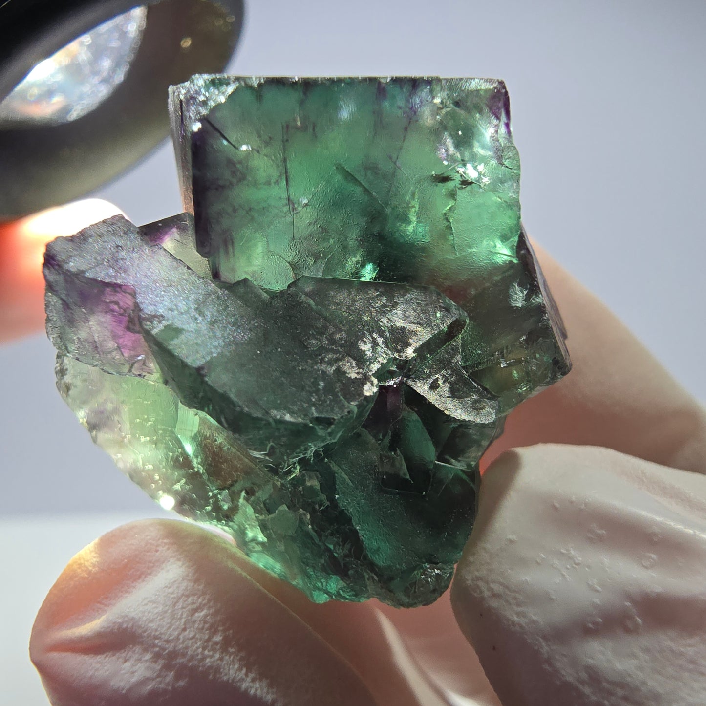 Spécimen de cube de fluorite fantôme parqueté vert violet Okorusu, Namibie 28*24*18mm