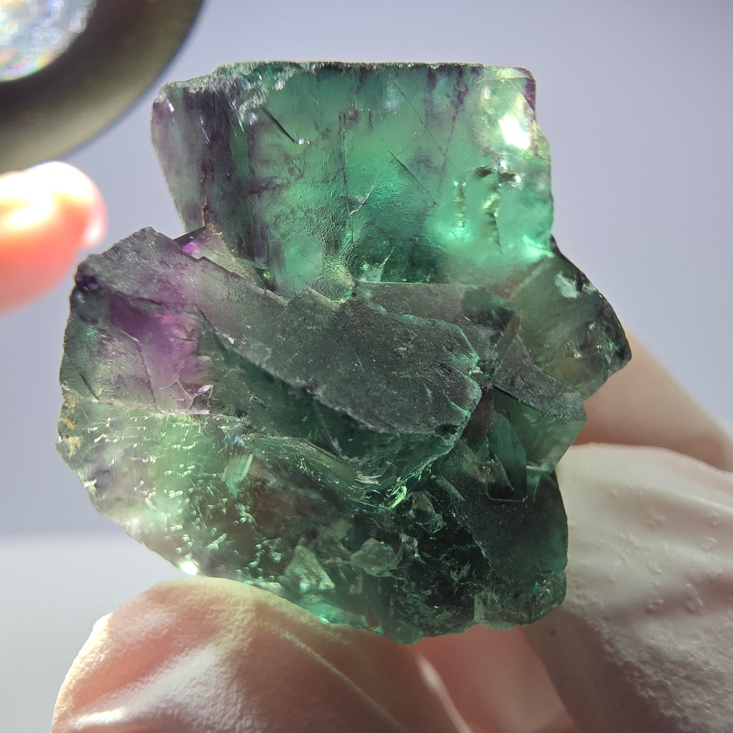 Spécimen de cube de fluorite fantôme parqueté vert violet Okorusu, Namibie 28*24*18mm