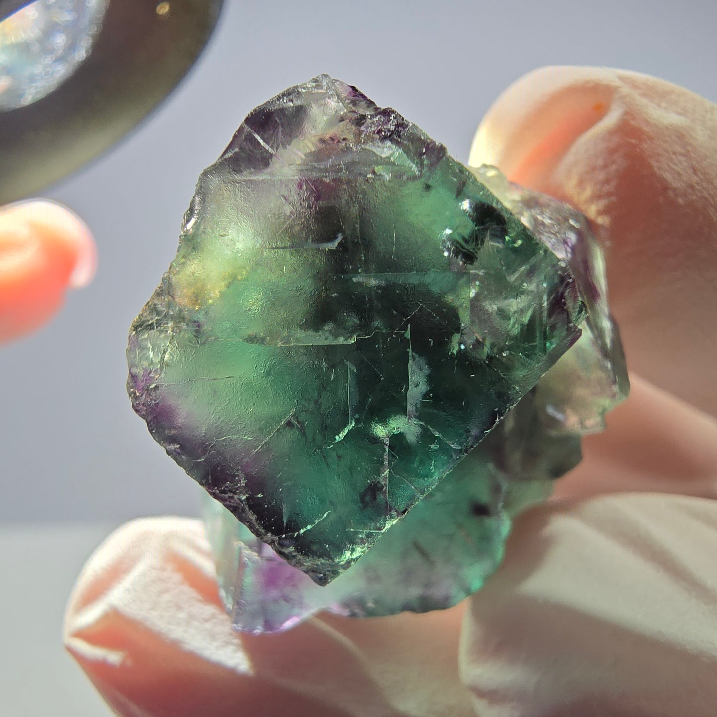 Spécimen de cube de fluorite fantôme parqueté vert violet Okorusu, Namibie 28*24*18mm