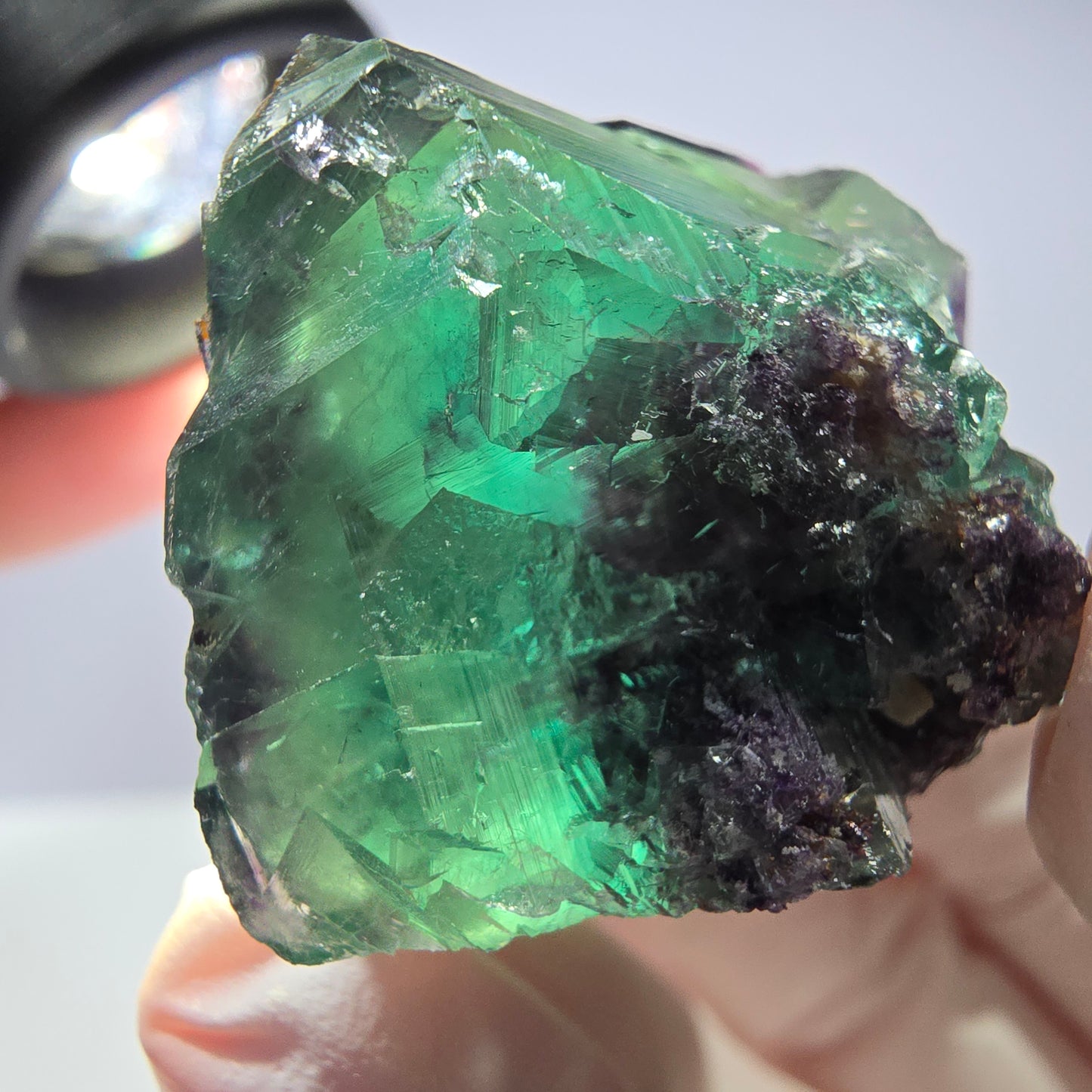Spécimen de cube de fluorite fantôme parqueté vert violet Okorusu, Namibie 31*28*24mm
