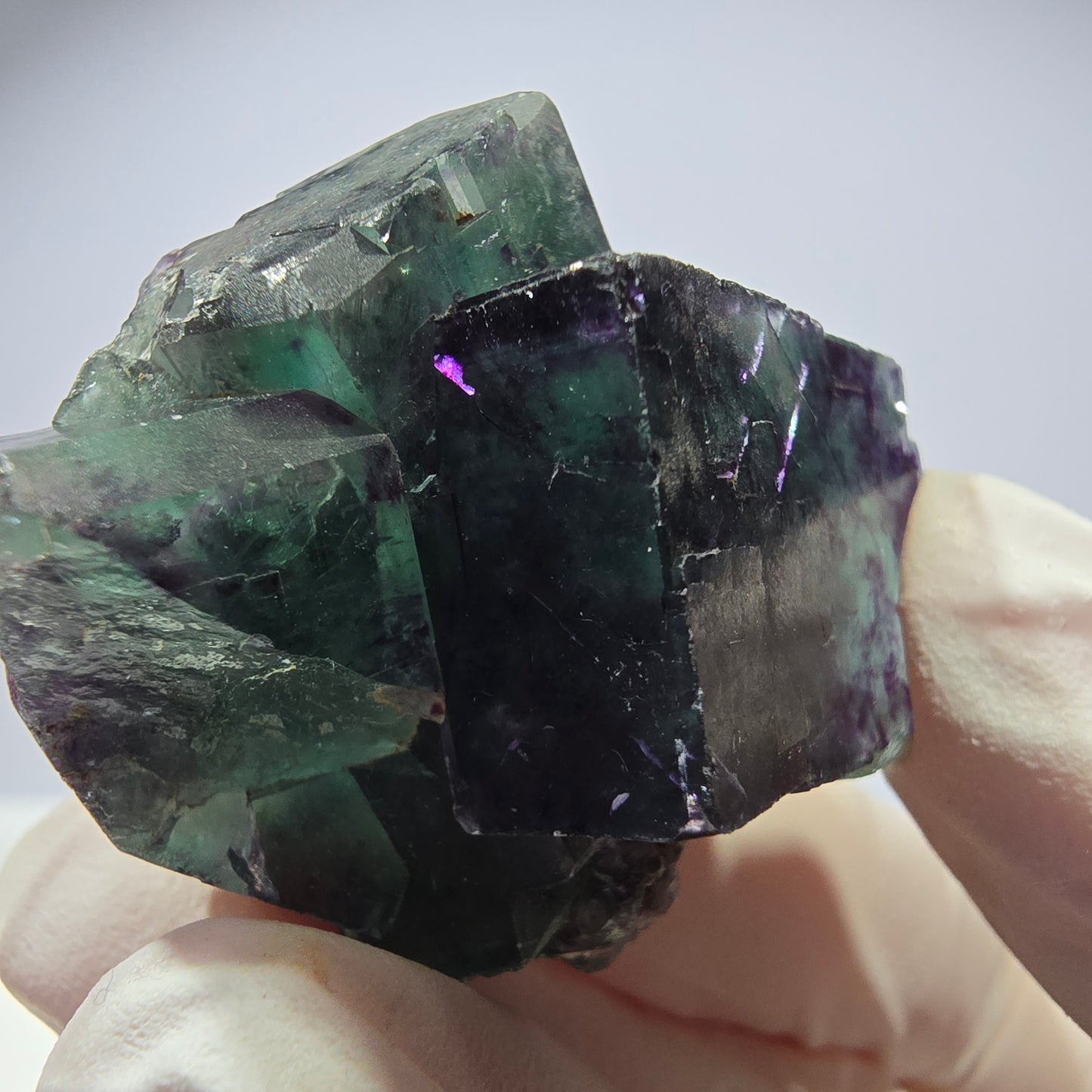 Spécimen de cube de fluorite fantôme parqueté vert violet Okorusu, Namibie 32*31*24 mm