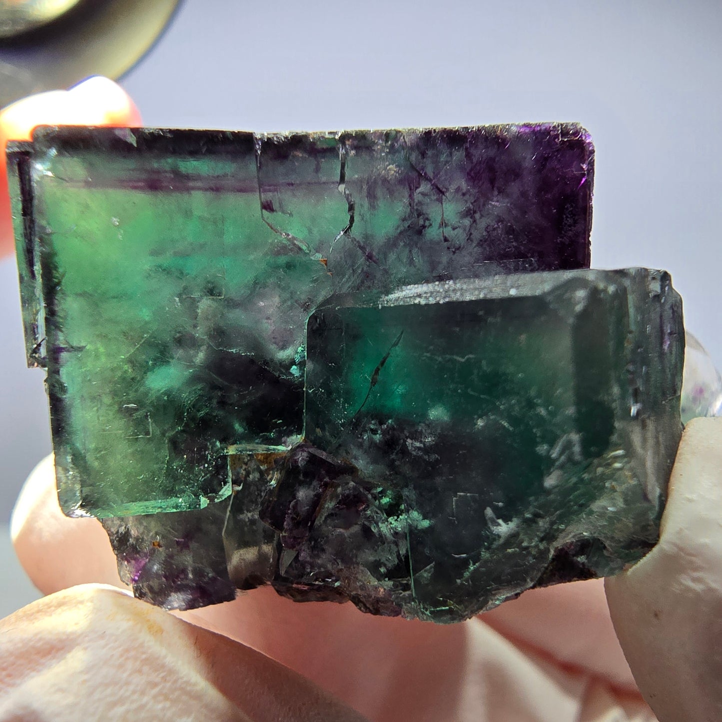 Spécimen de cube de fluorite fantôme parqueté vert violet Okorusu, Namibie 32*31*24 mm