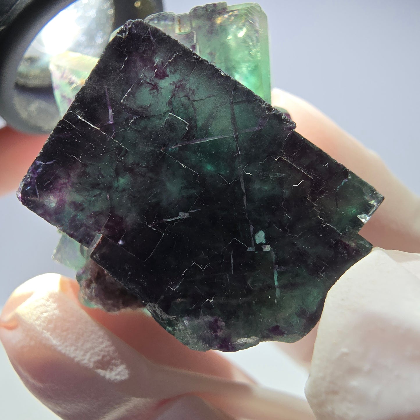 Spécimen de cube de fluorite fantôme parqueté vert violet Okorusu, Namibie 32*31*24 mm