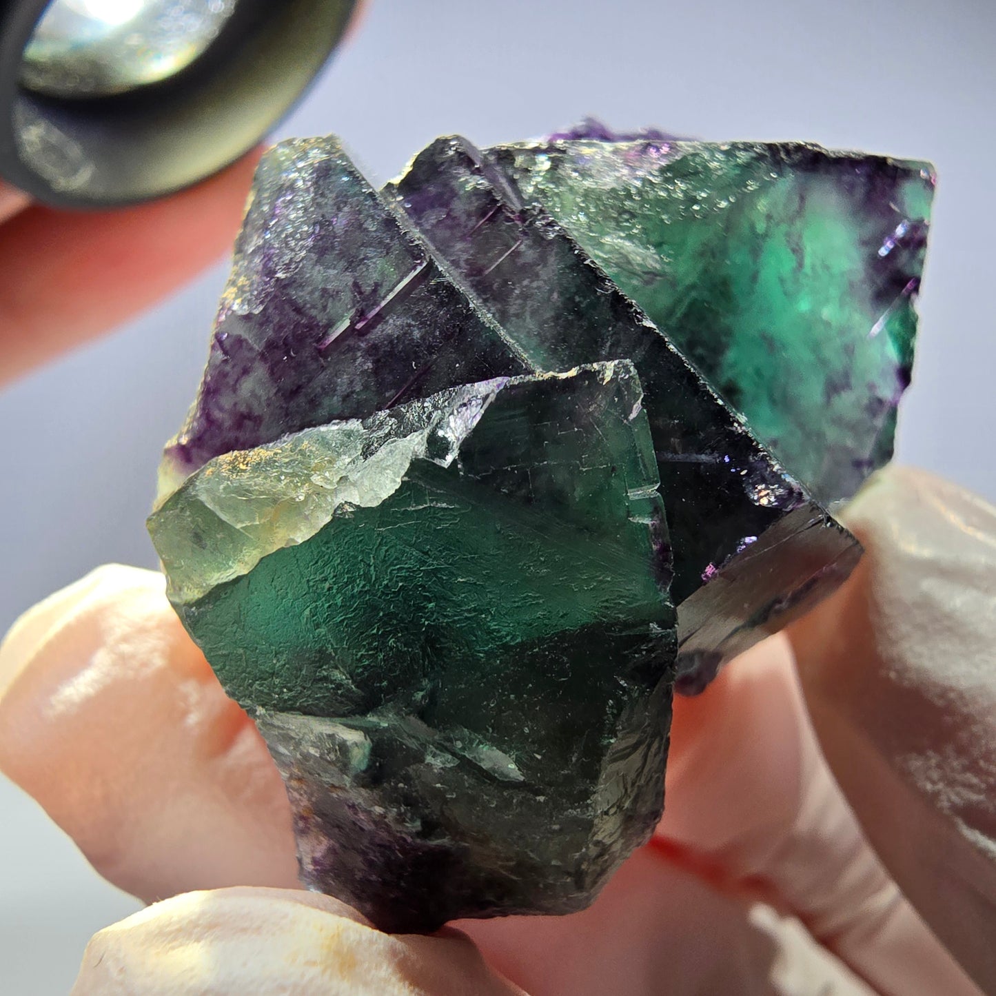 Spécimen de cube de fluorite fantôme parqueté vert violet Okorusu, Namibie 45*28*25 mm