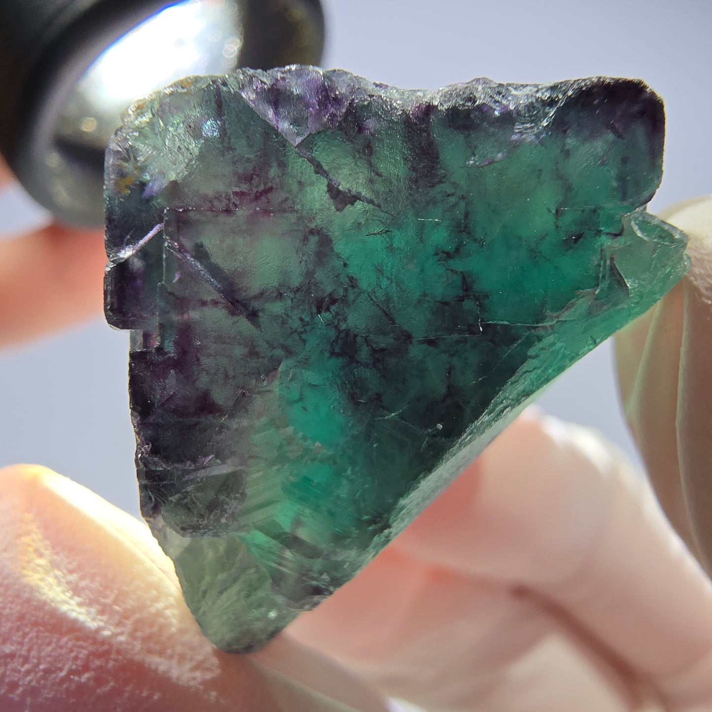 Spécimen de cube de fluorite fantôme parqueté vert violet Okorusu, Namibie 34*31*24mm