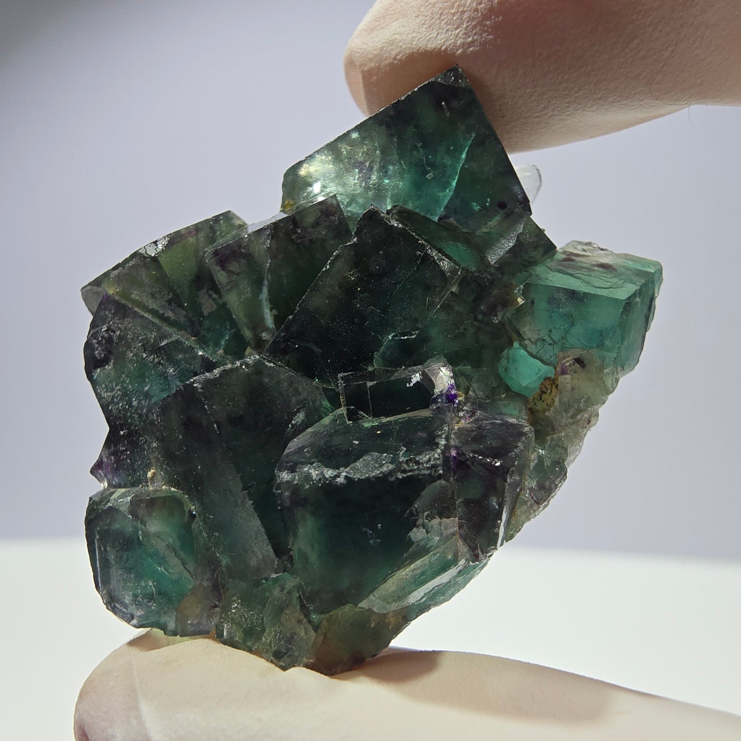Spécimen de cube de fluorite fantôme parqueté vert violet Okorusu, Namibie 42*33*14 mm