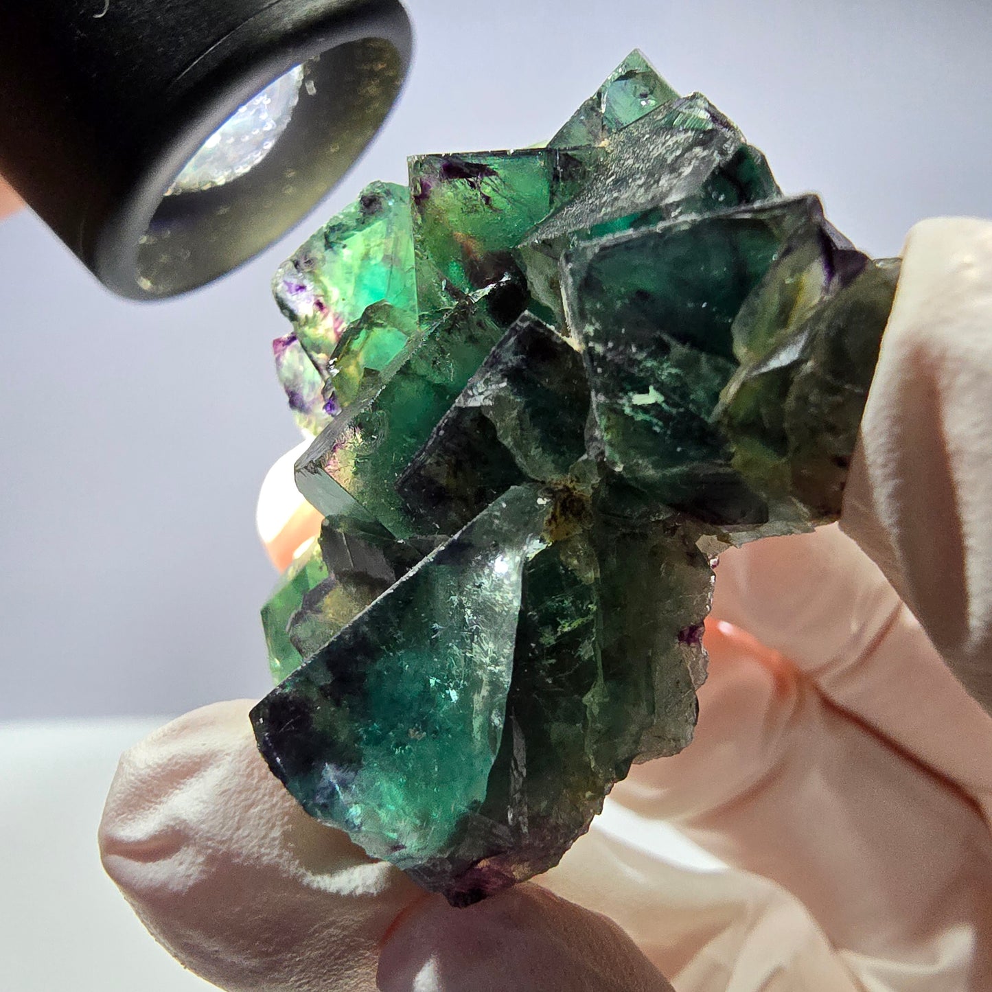 Spécimen de cube de fluorite fantôme parqueté vert violet Okorusu, Namibie 42*33*14 mm