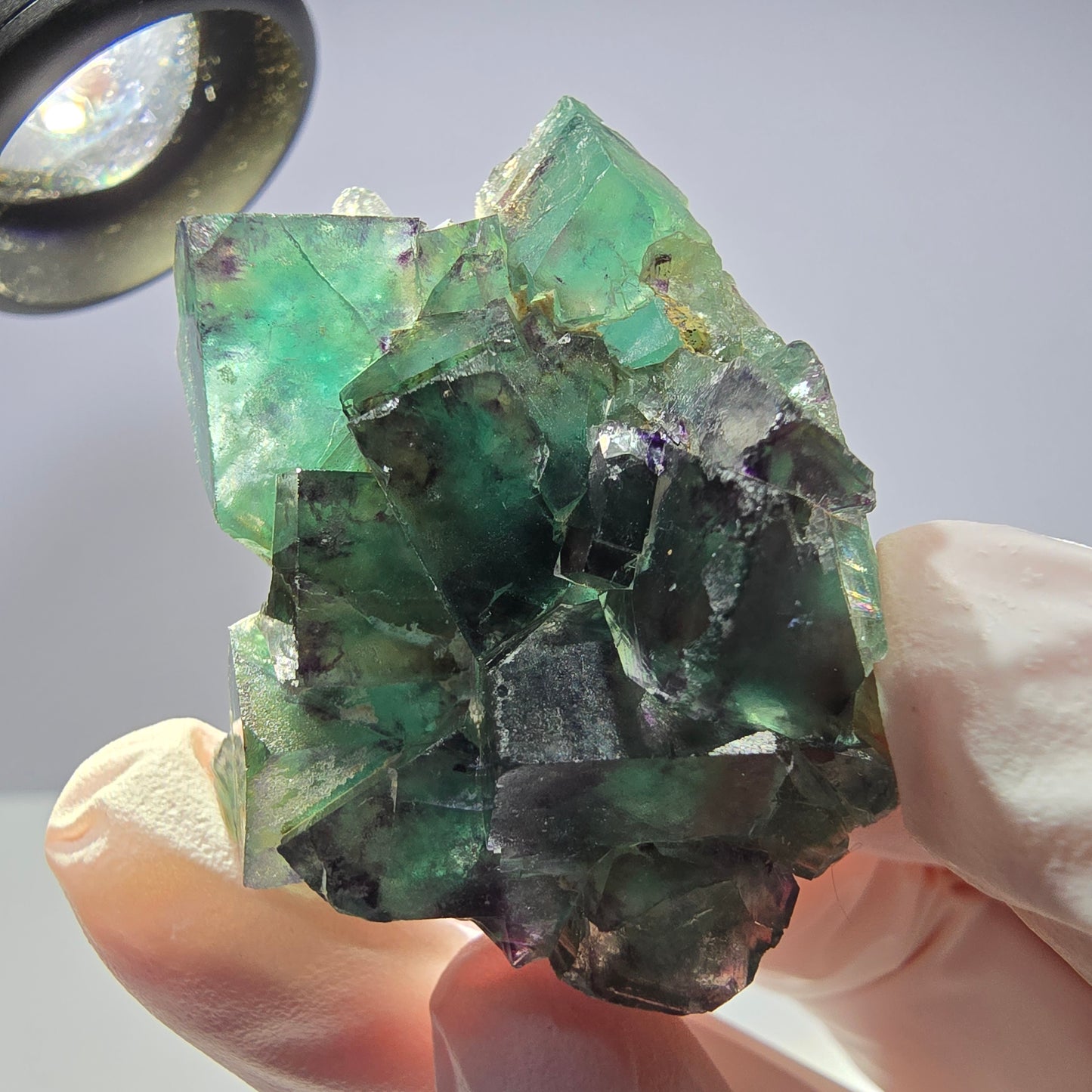 Spécimen de cube de fluorite fantôme parqueté vert violet Okorusu, Namibie 42*33*14 mm