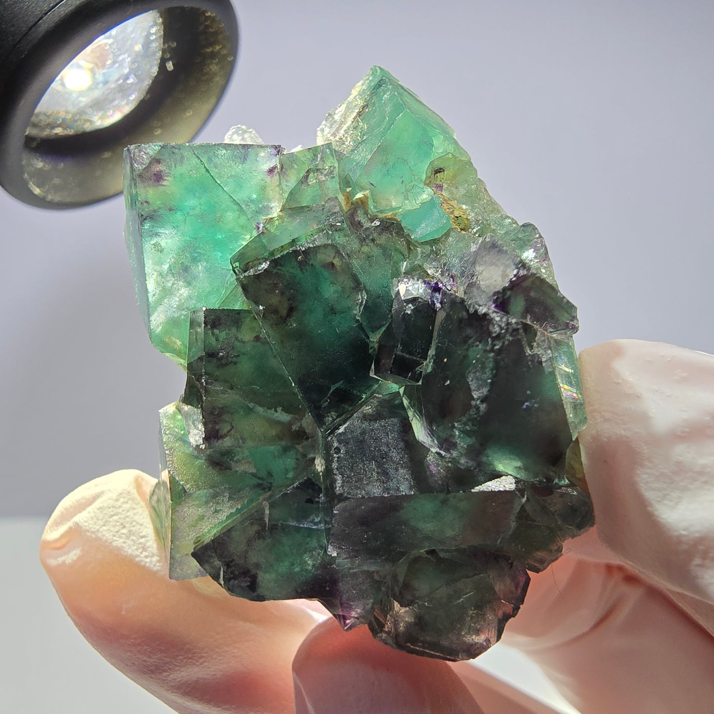 Spécimen de cube de fluorite fantôme parqueté vert violet Okorusu, Namibie 42*33*14 mm