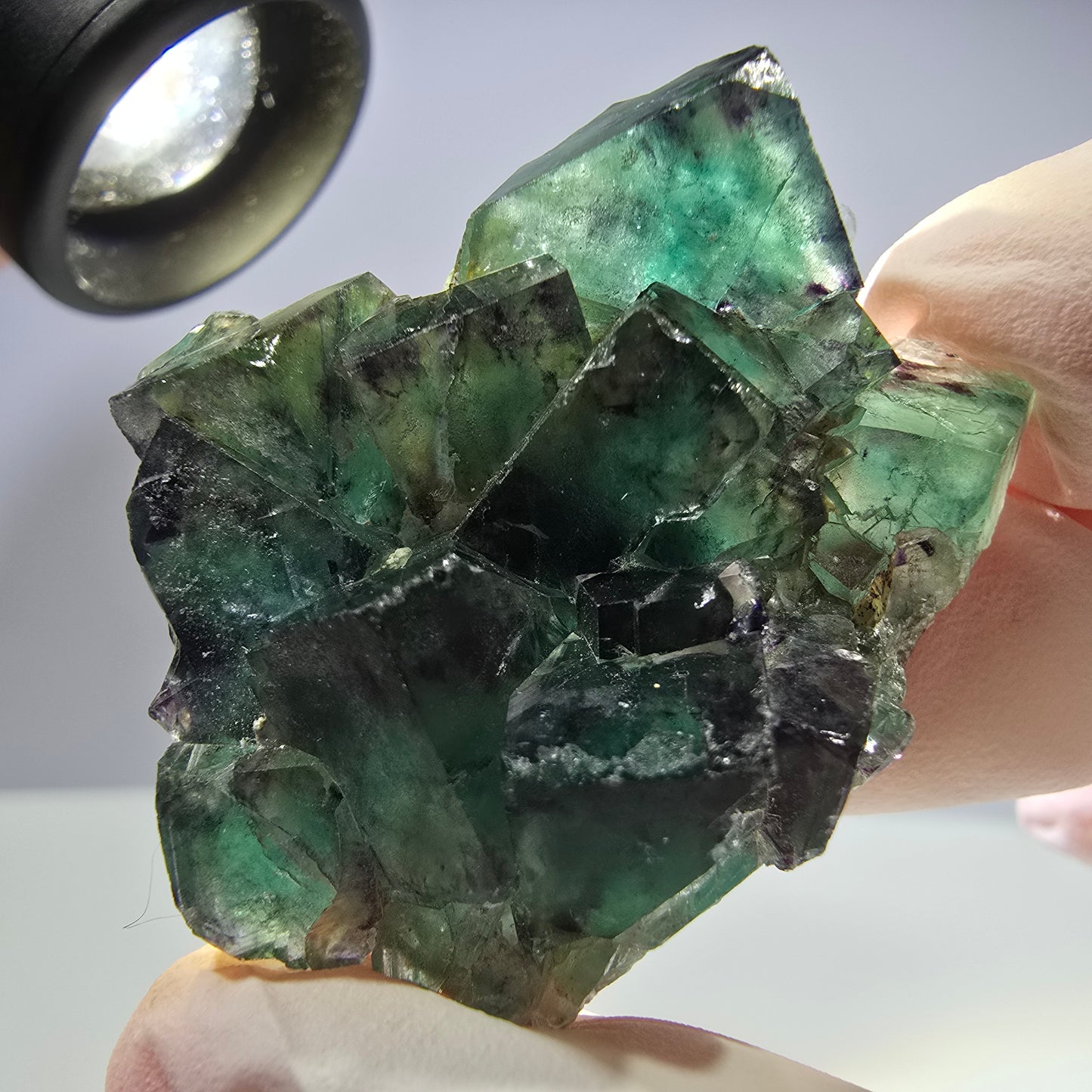 Spécimen de cube de fluorite fantôme parqueté vert violet Okorusu, Namibie 42*33*14 mm