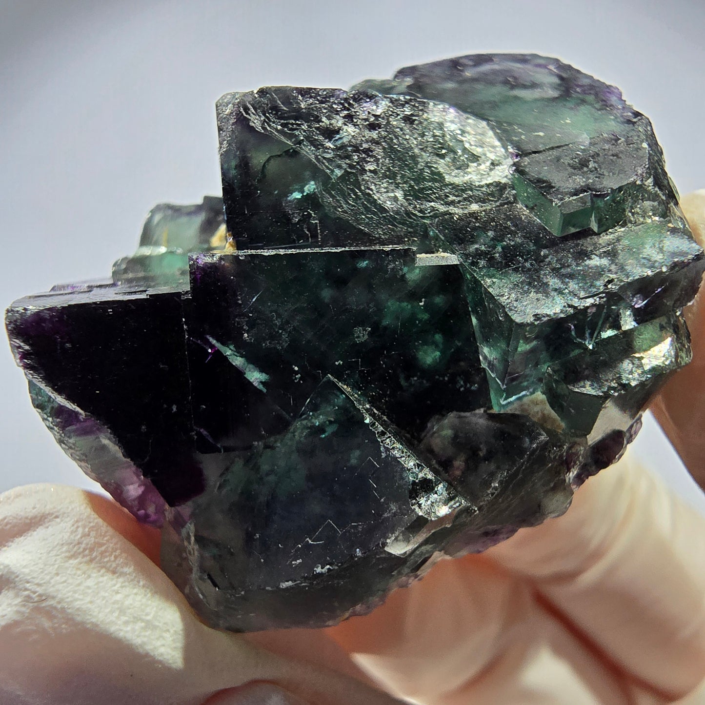 Spécimen de cube de fluorite fantôme parqueté vert violet Okorusu, Namibie 41*30*18mm