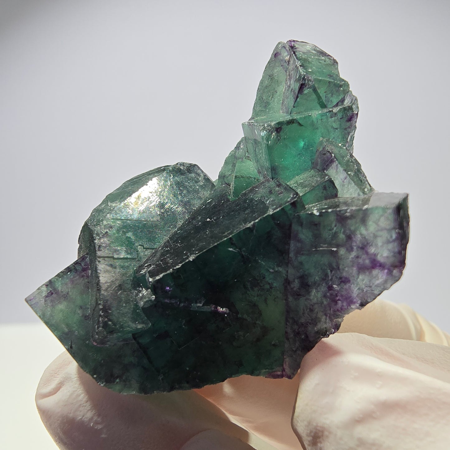 Spécimen de cube de fluorite fantôme parqueté vert violet Okorusu, Namibie 46*34*32mm