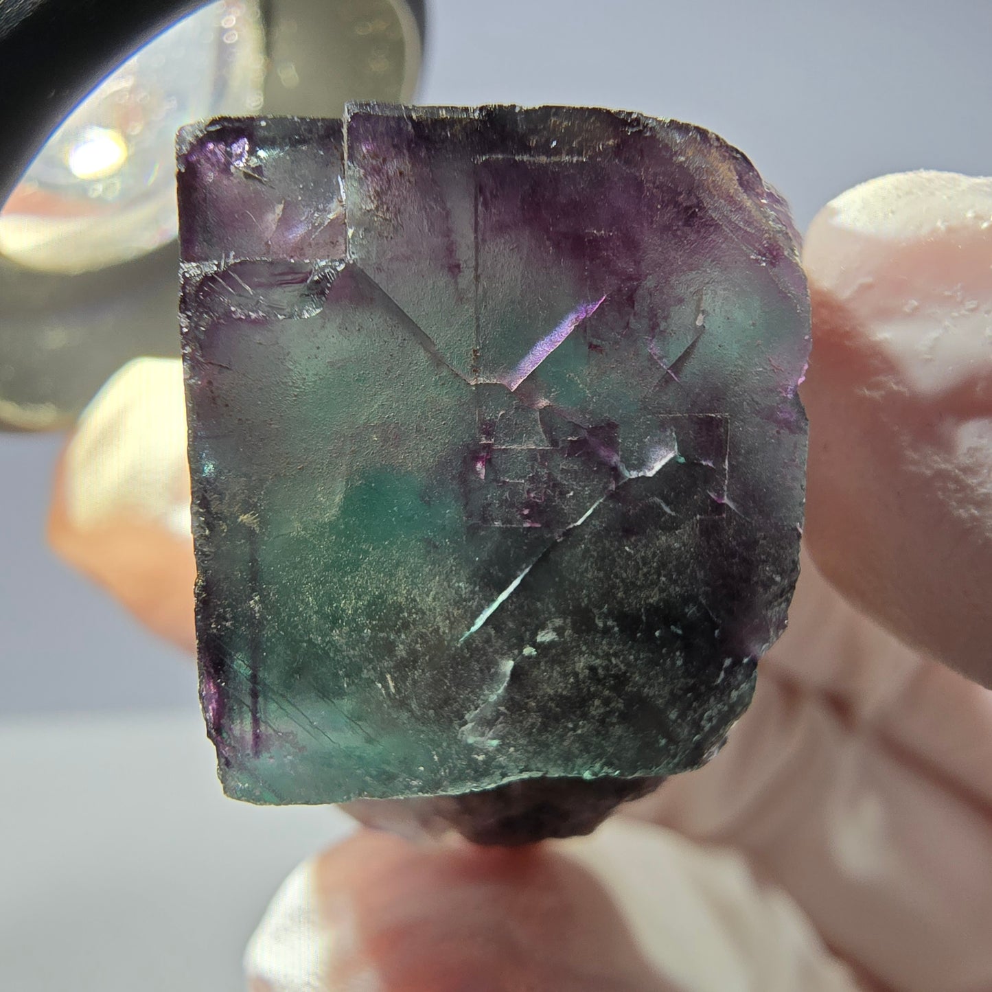 Spécimen de cube de fluorite fantôme parqueté vert violet Okorusu, Namibie 34*26*21mm
