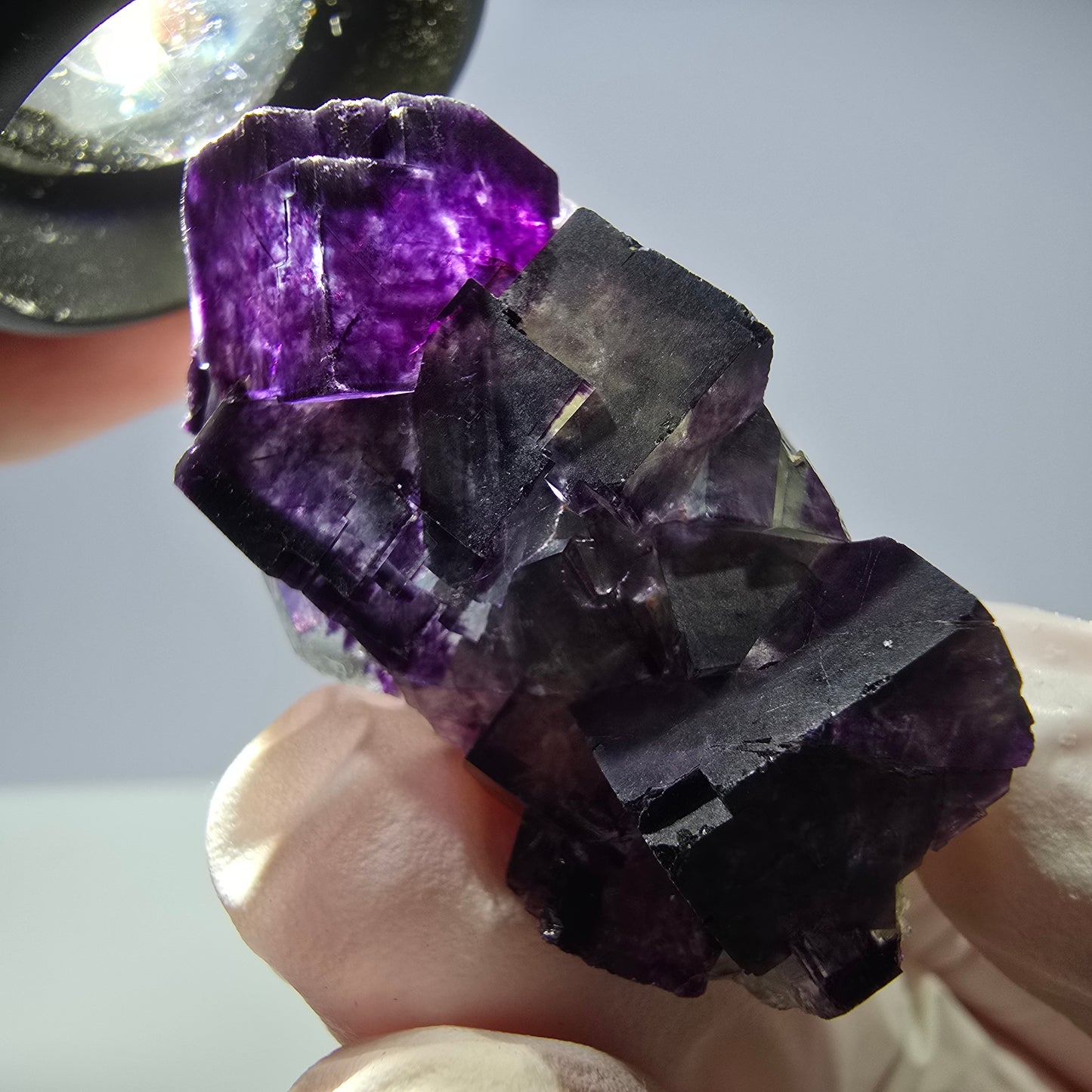 Spécimen de cube de fluorite fantôme parqueté vert violet Okorusu, Namibie 40*26*21mm