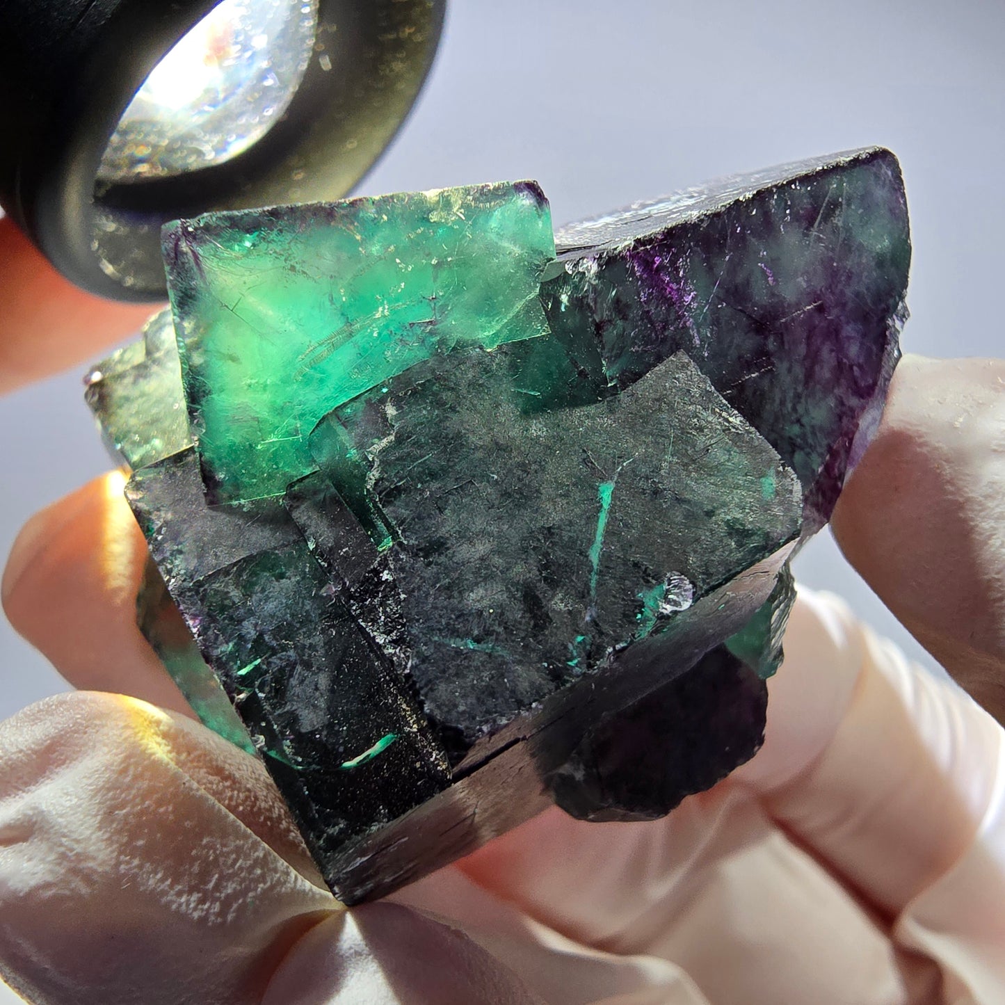 Spécimen de cube de fluorite fantôme parqueté vert violet Okorusu, Namibie 42*38*25mm