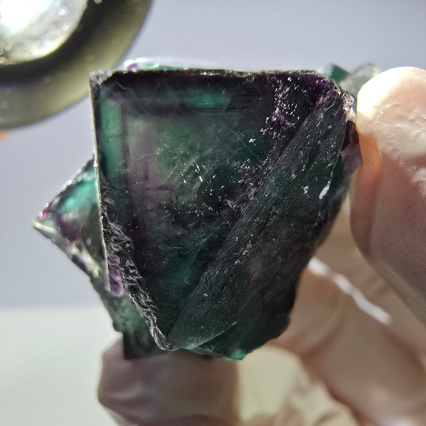 Spécimen de cube de fluorite fantôme parqueté vert violet Okorusu, Namibie 42*38*25mm