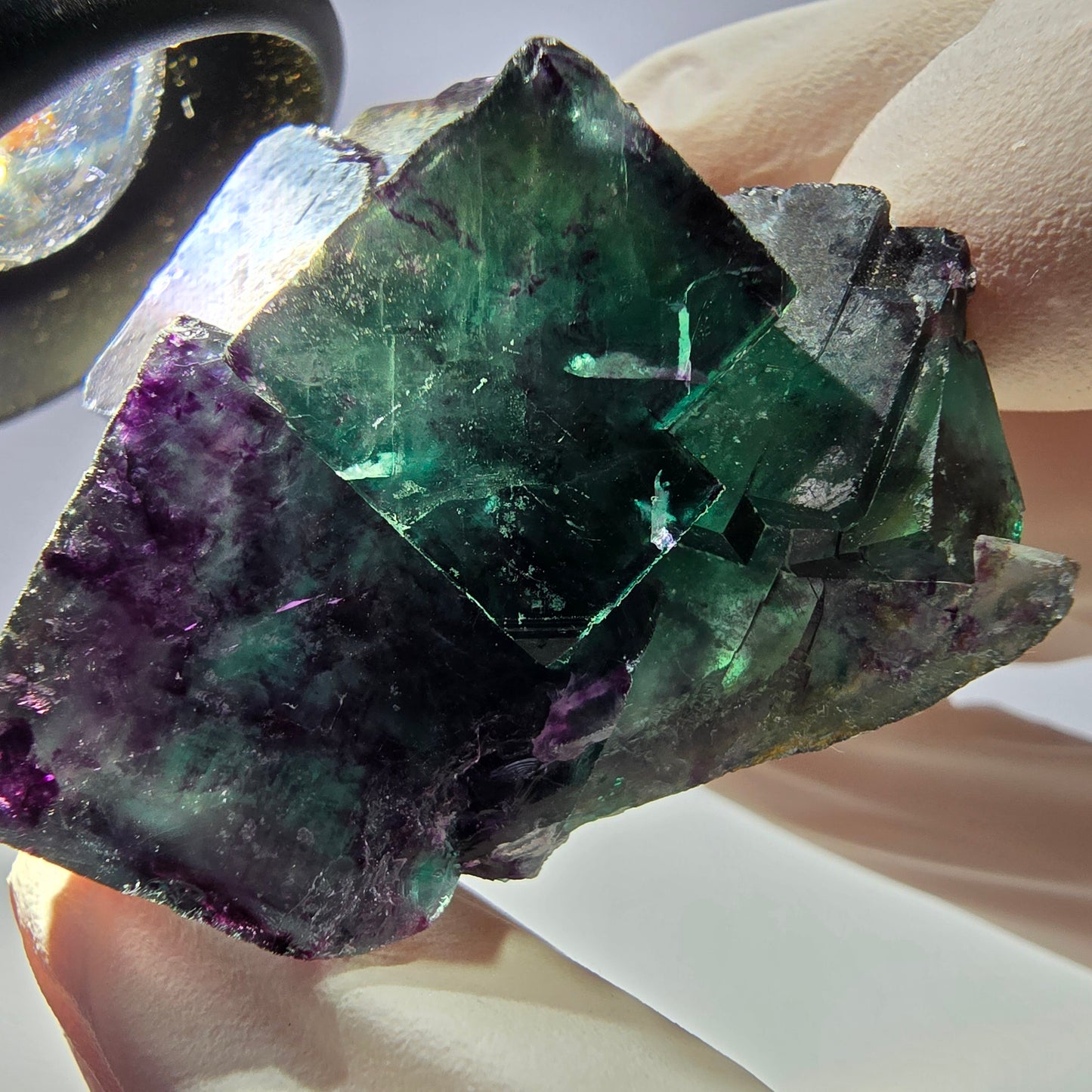 Spécimen de cube de fluorite fantôme parqueté vert violet Okorusu, Namibie 42*38*25mm