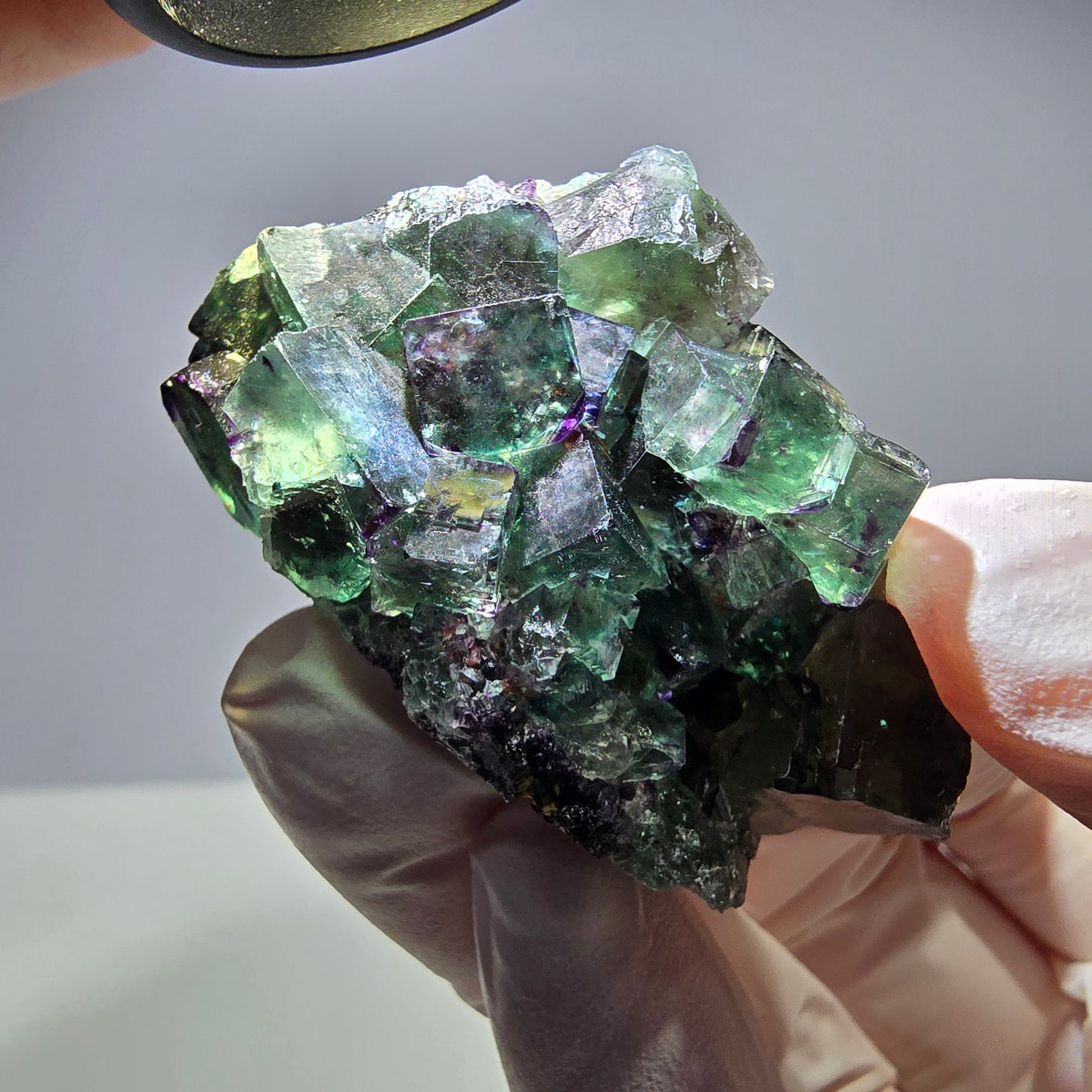 Spécimen de cube de fluorite fantôme parqueté vert violet Okorusu, Namibie 51*31*22mm