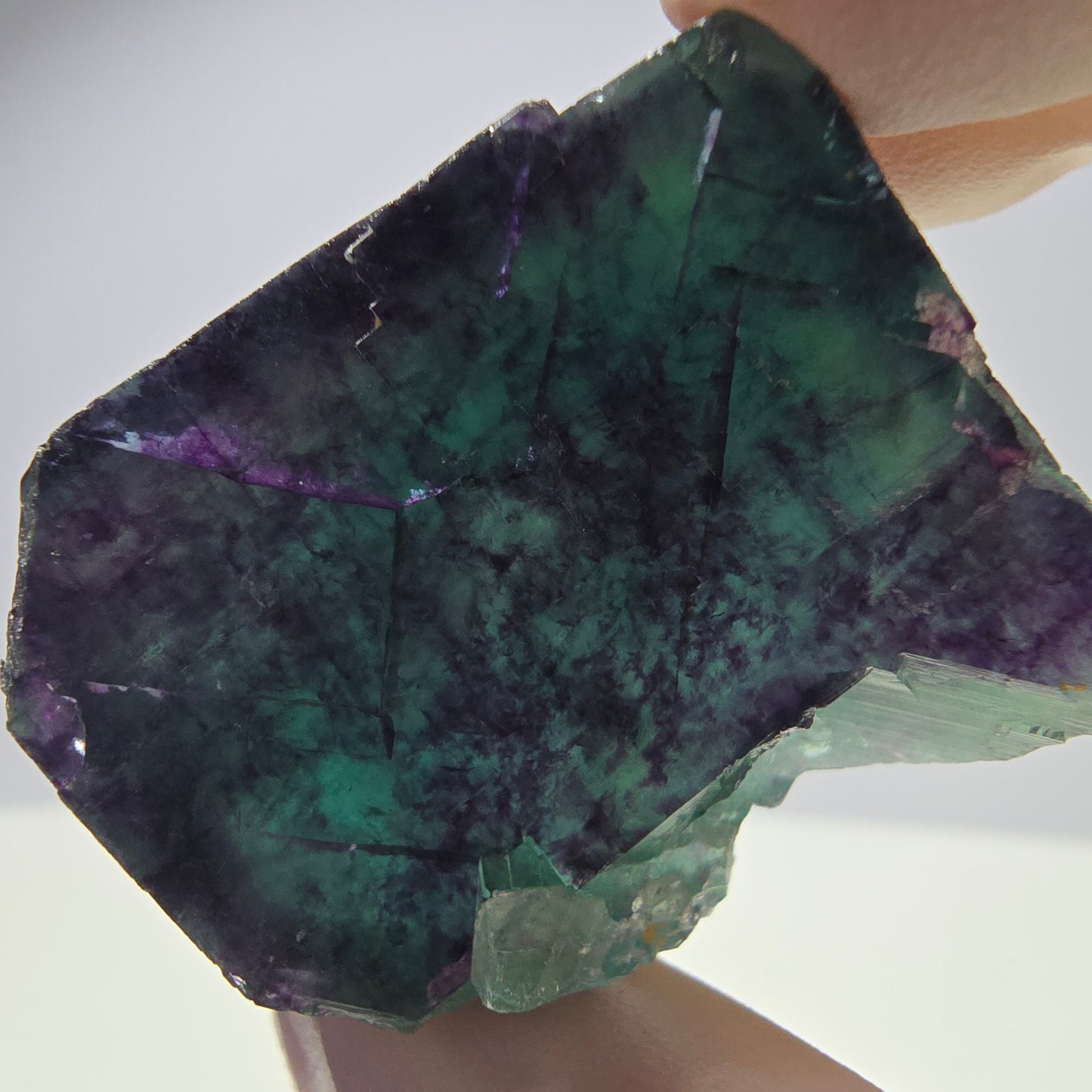 Spécimen de cube de fluorite fantôme parqueté vert violet Okorusu, Namibie 38*29*25 mm
