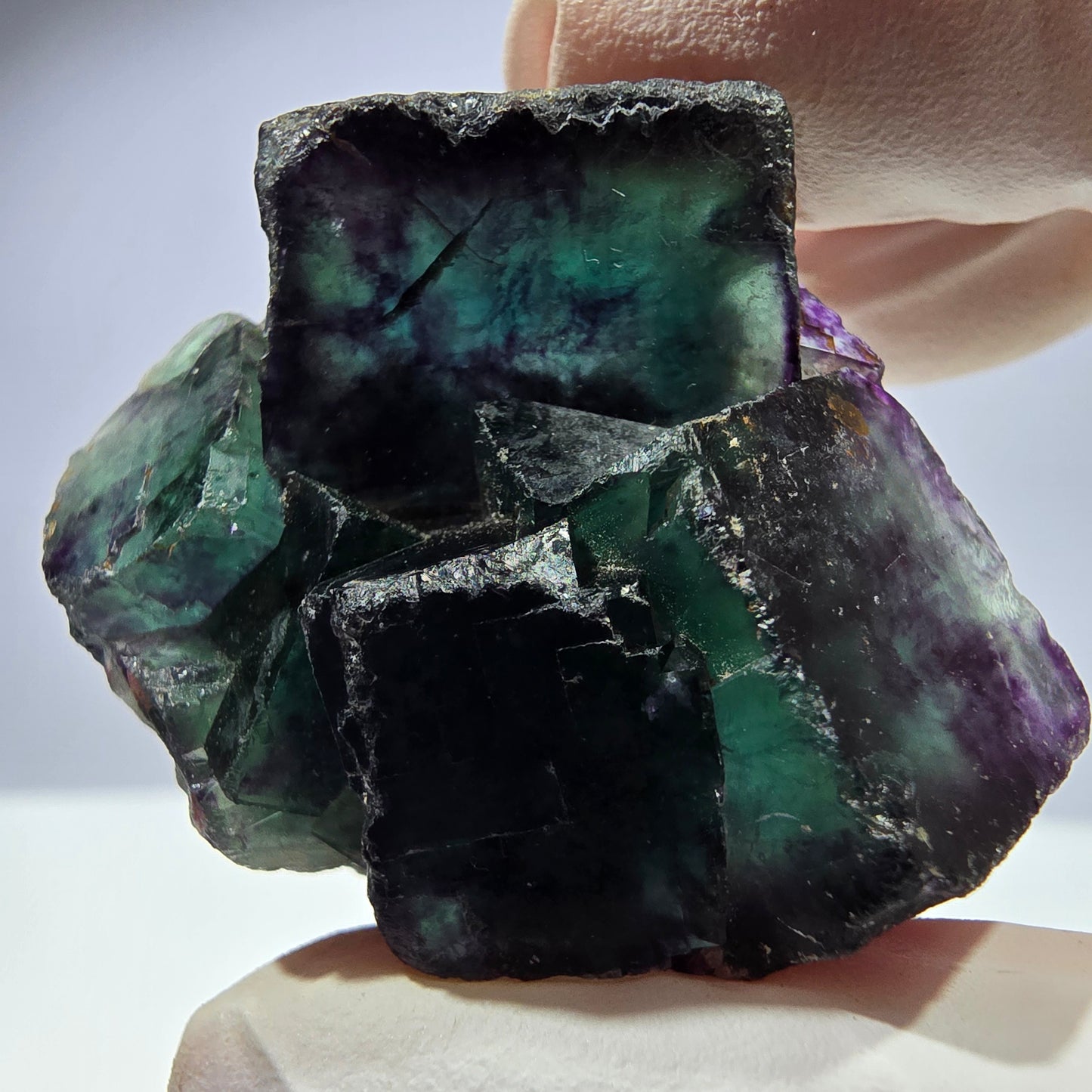 Spécimen de cube de fluorite fantôme parqueté vert violet Okorusu, Namibie 44*35*21mm
