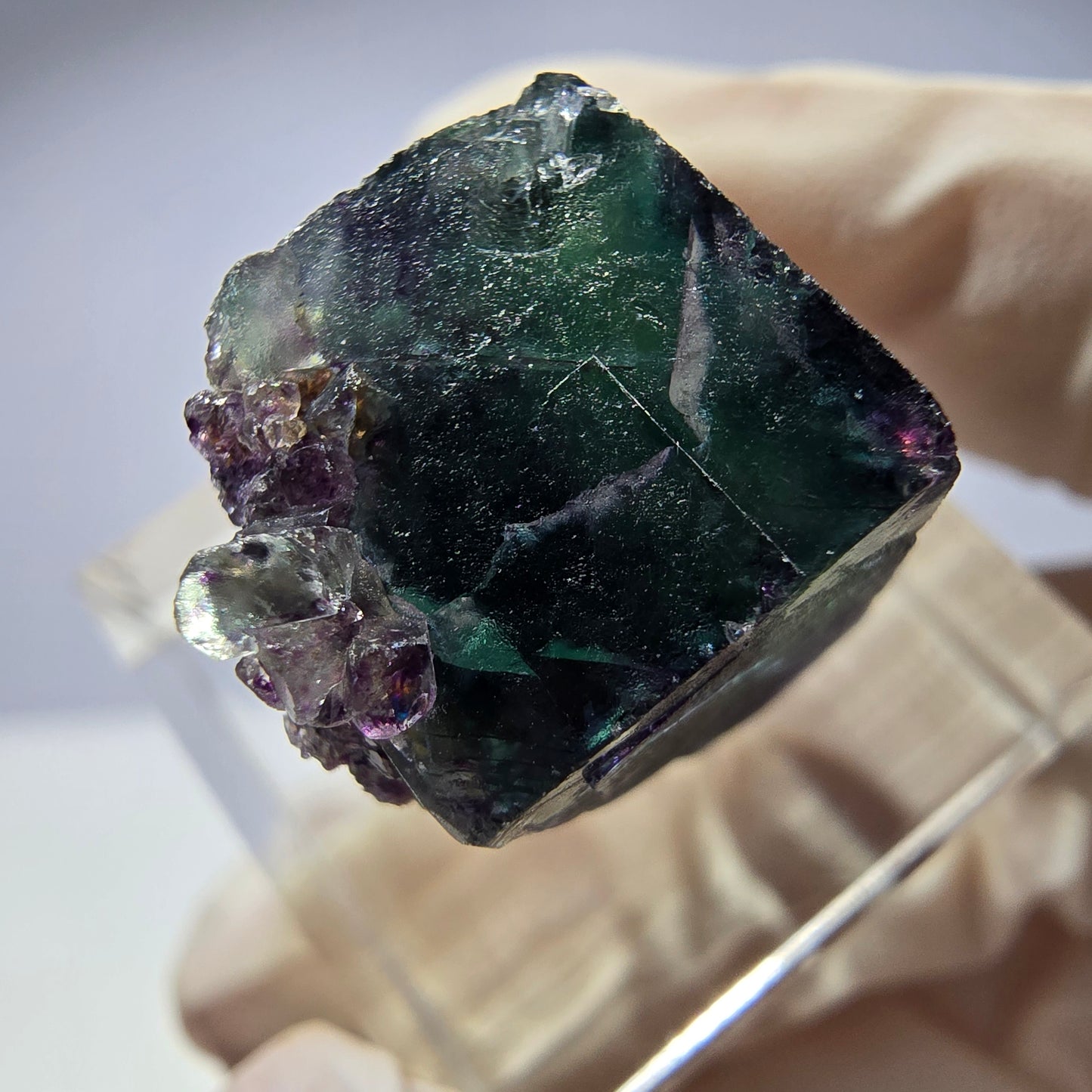 Rare cube de fluorite fantôme parqueté vert violet Okorusu Namibie 20*15*13mm