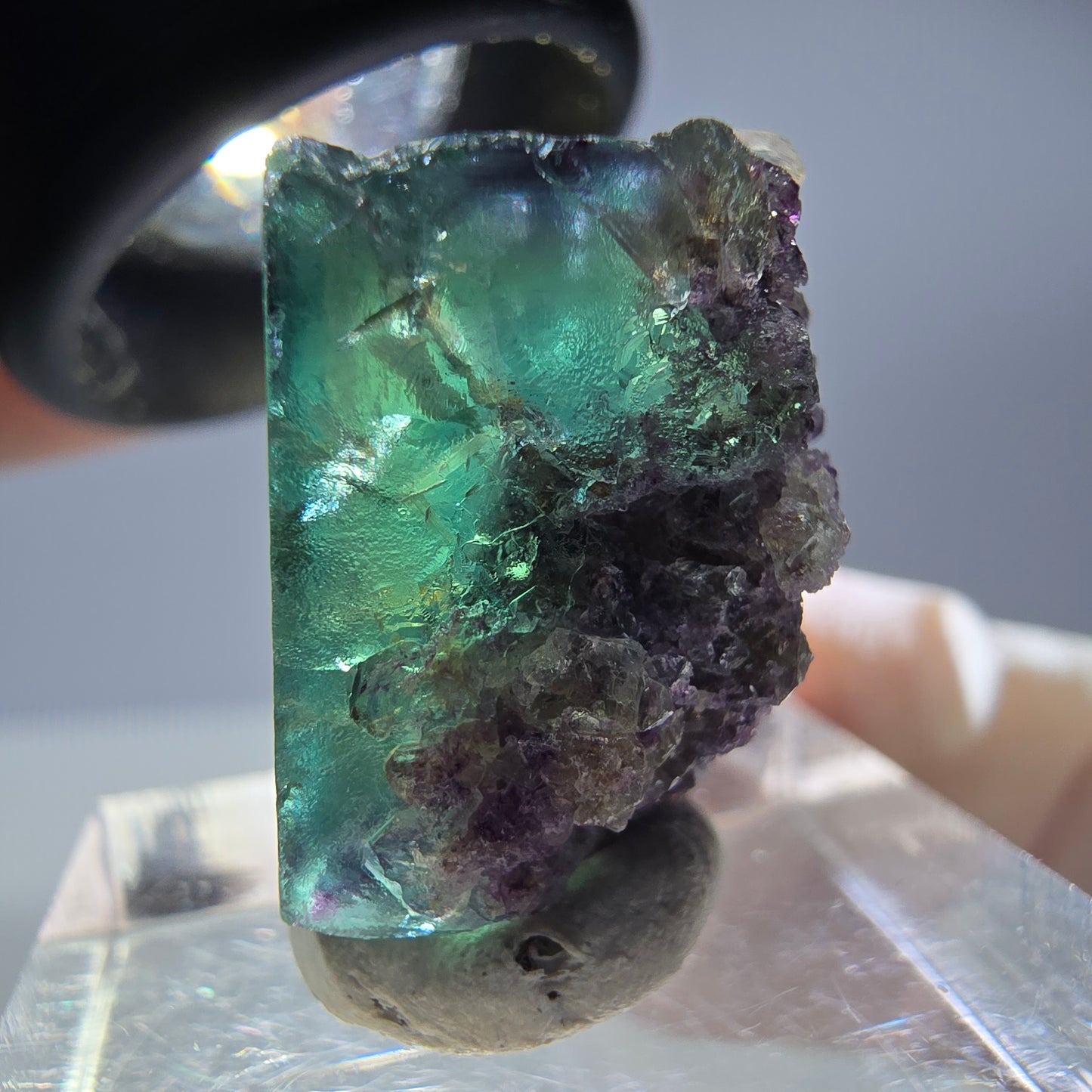 Rare cube de fluorite fantôme parqueté vert violet Okorusu Namibie 20*15*13mm