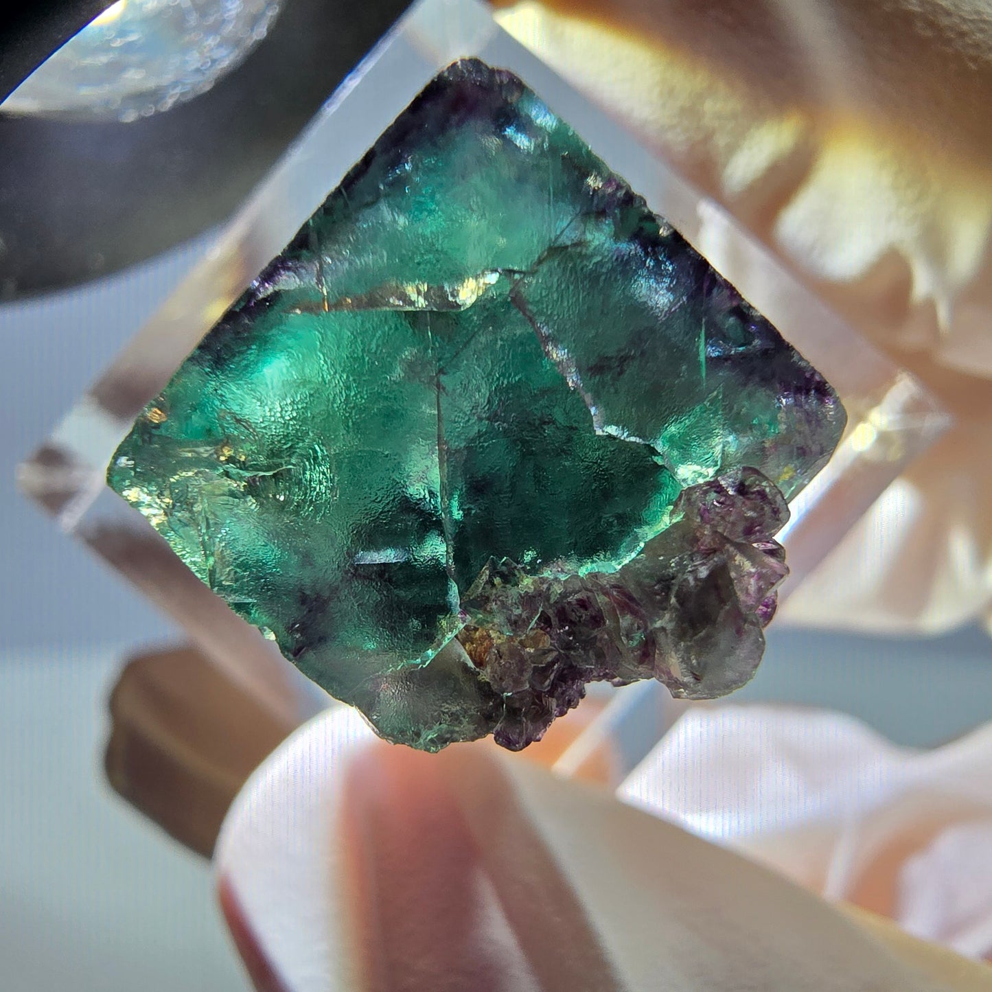 Rare cube de fluorite fantôme parqueté vert violet Okorusu Namibie 20*15*13mm