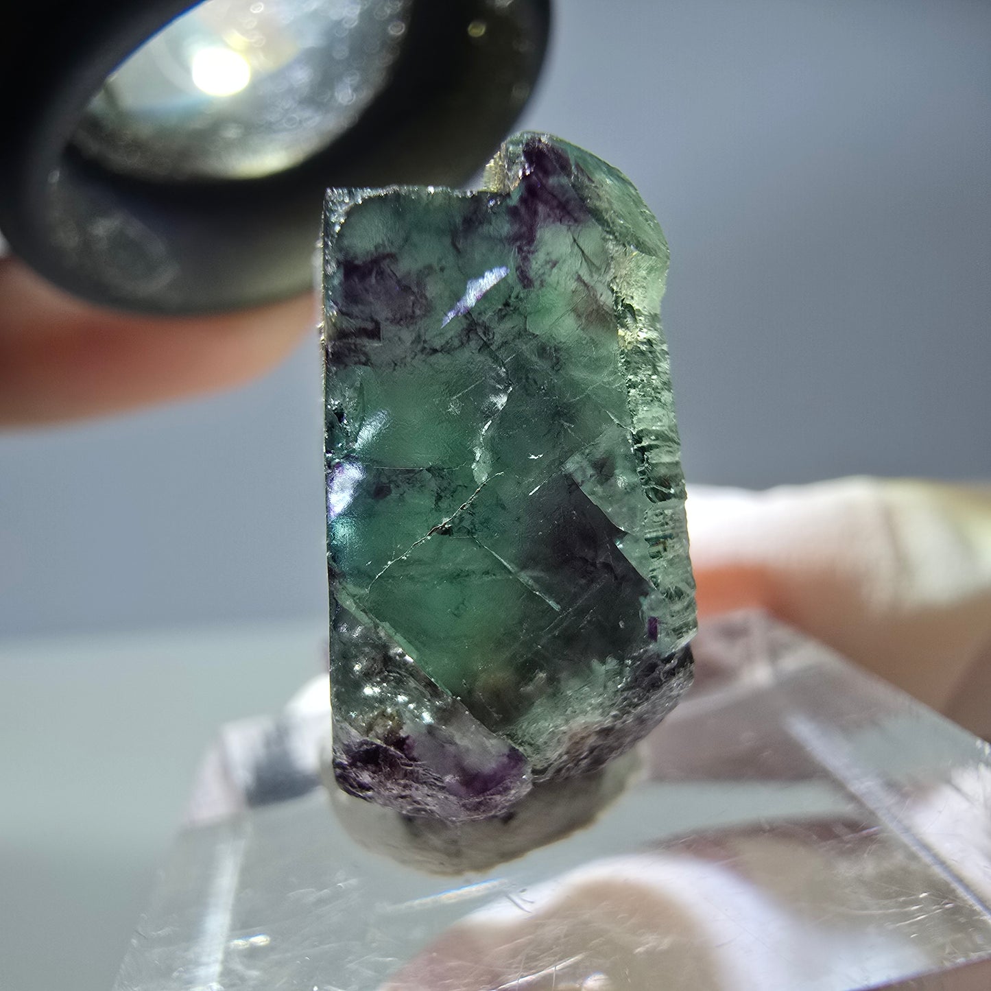 Rare cube de fluorite fantôme parqueté vert violet Okorusu Namibie 24*20*10mm