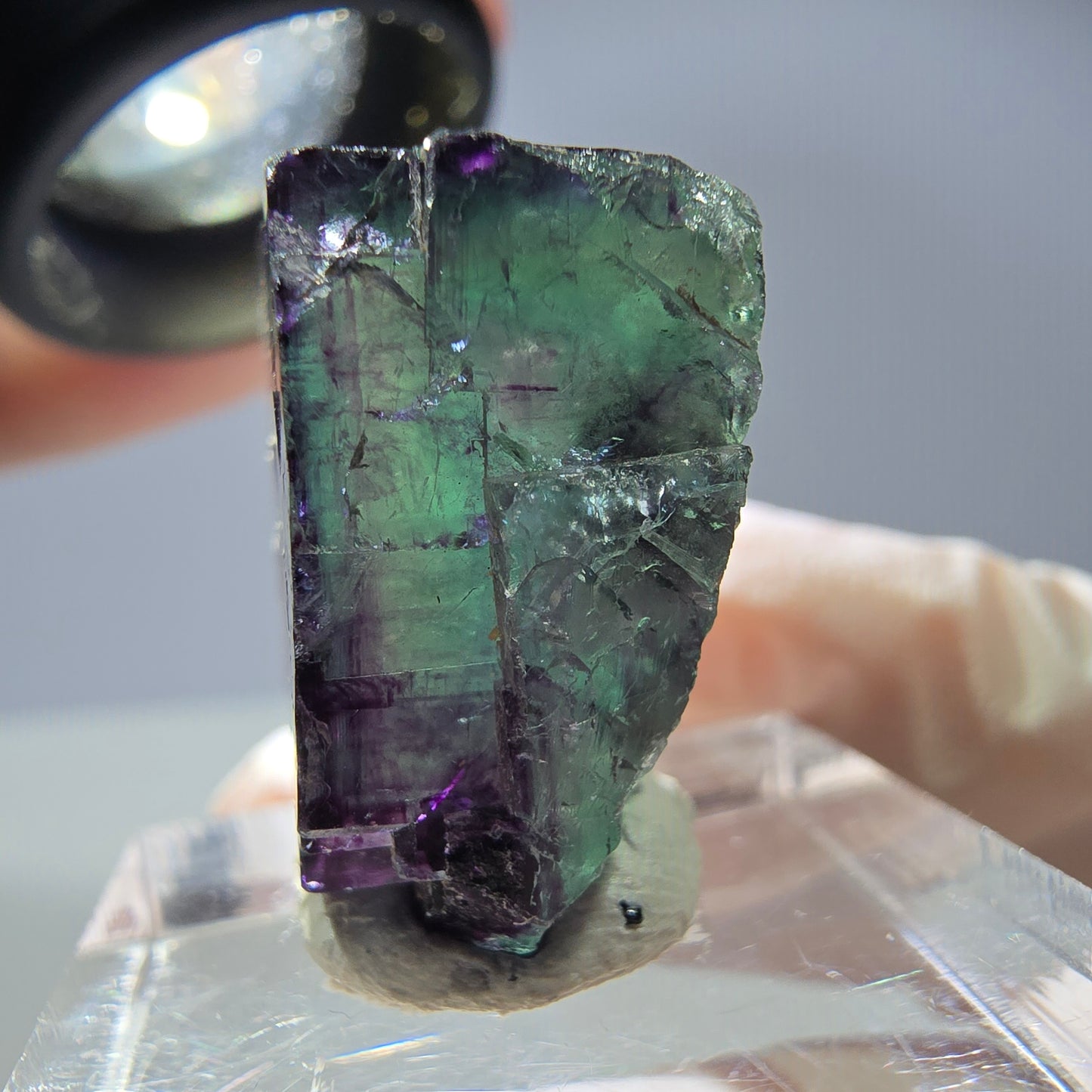Rare cube de fluorite fantôme parqueté vert violet Okorusu Namibie 21*19*13mm