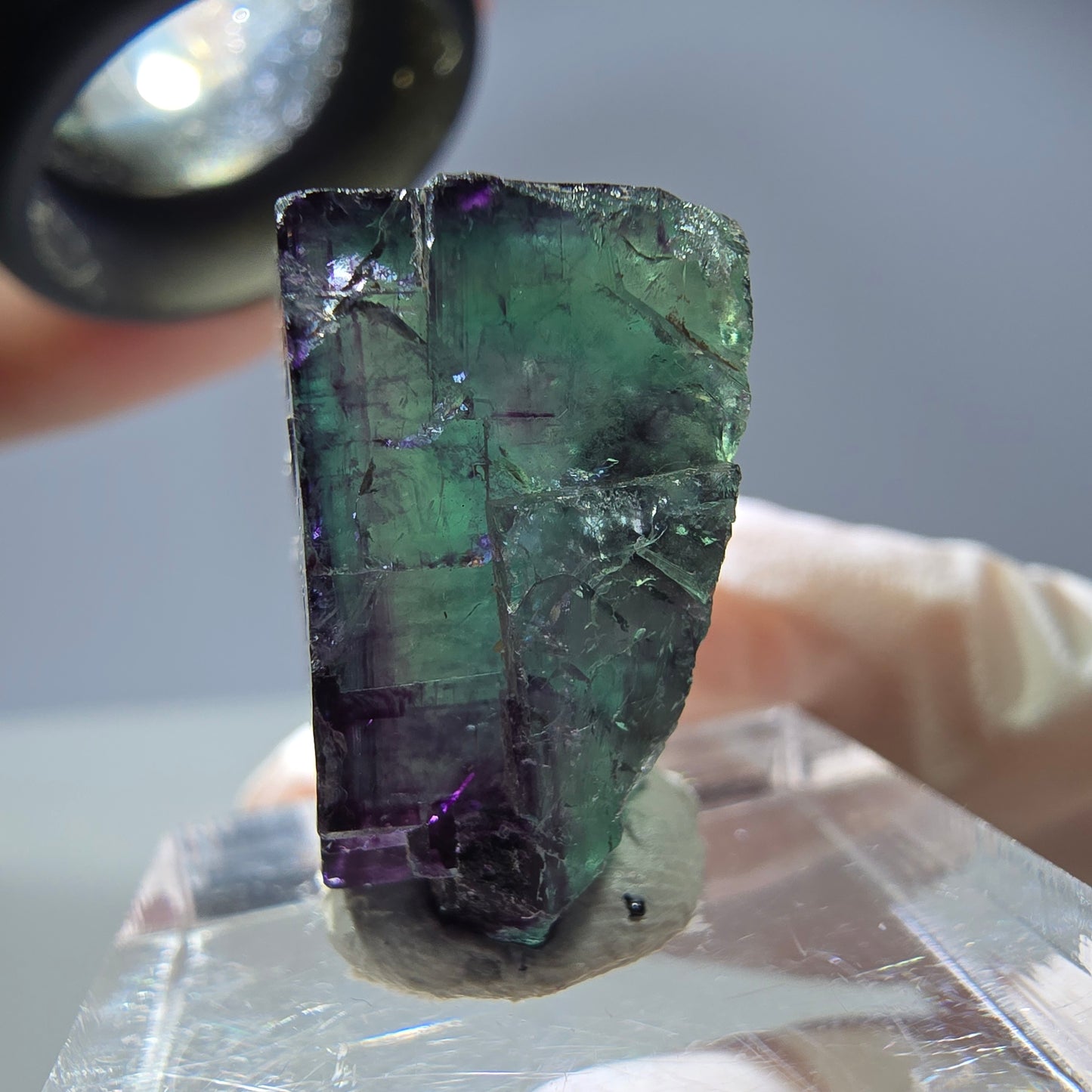 Rare cube de fluorite fantôme parqueté vert violet Okorusu Namibie 21*19*13mm